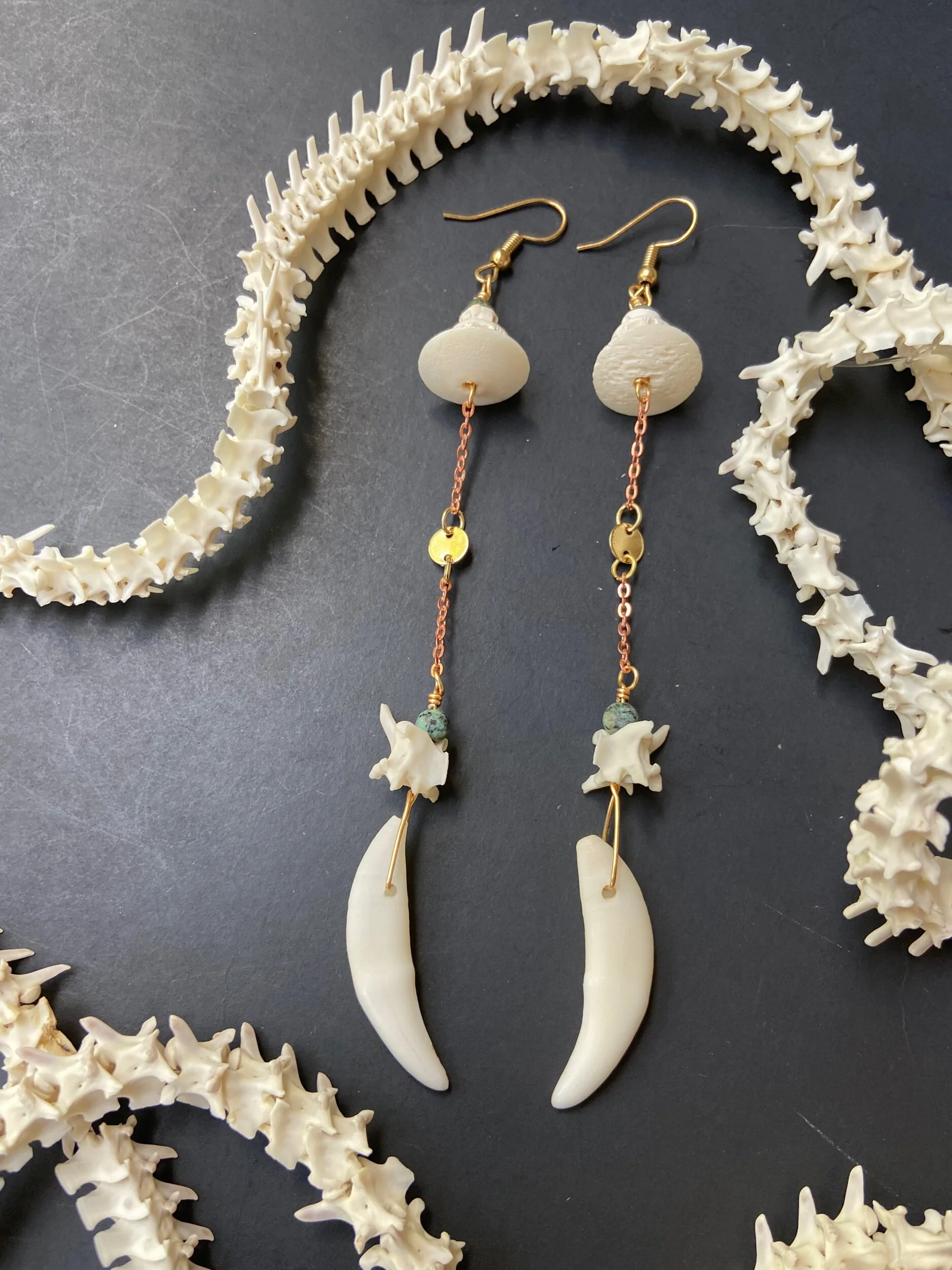 75F51969-CC72-4534-A1E7-02D3FDC4DA27