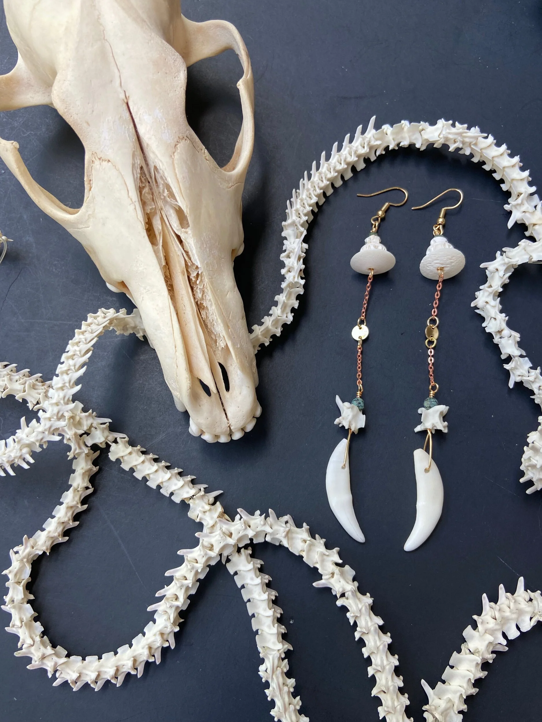 F7733289-CE1A-404A-B633-325219951D8E