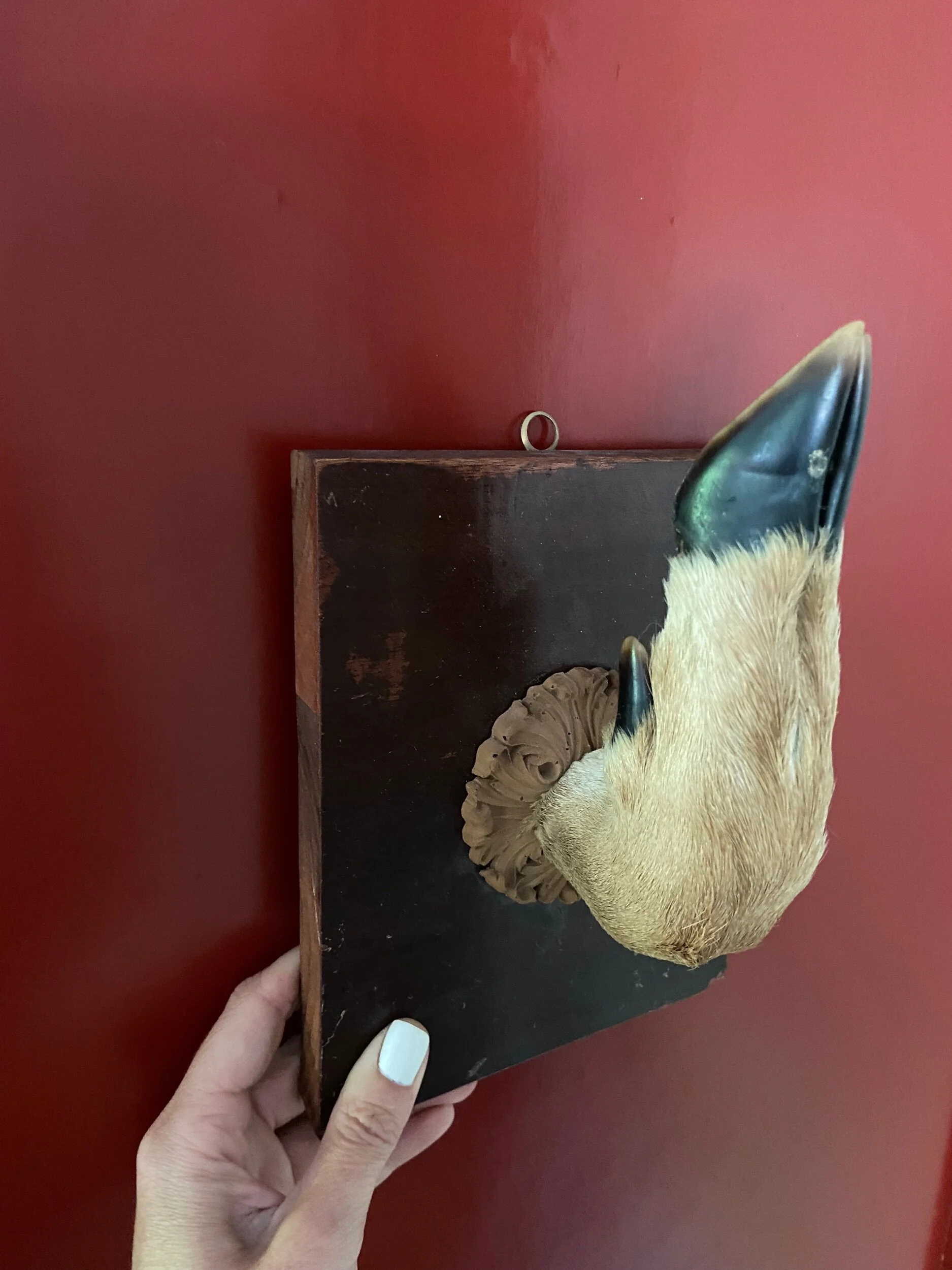 C26D0B21-CABD-40C3-A32D-BFC88CCFAAA4