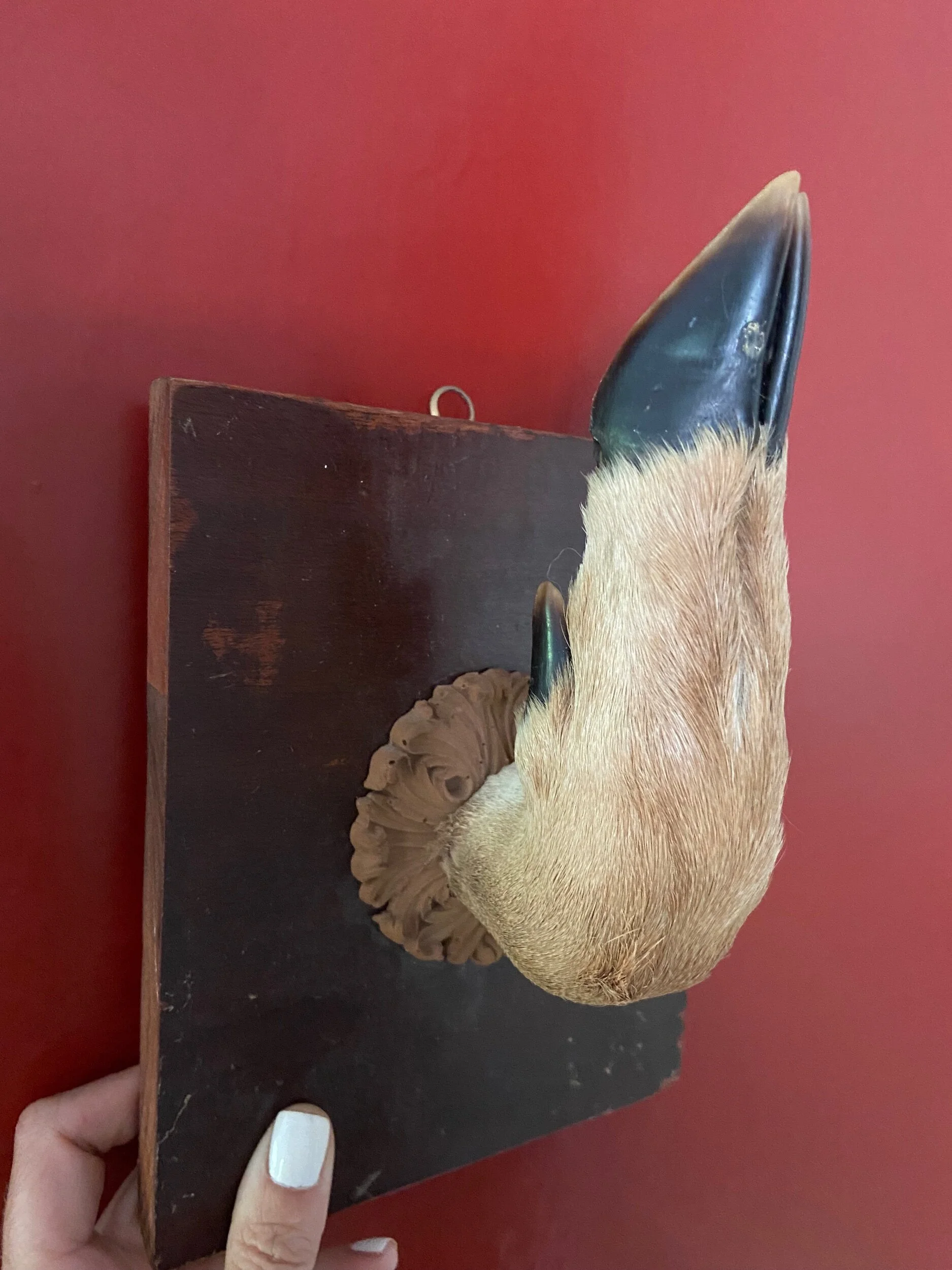 7792C5F2-7955-4DDE-B2D3-FAB361E069C6