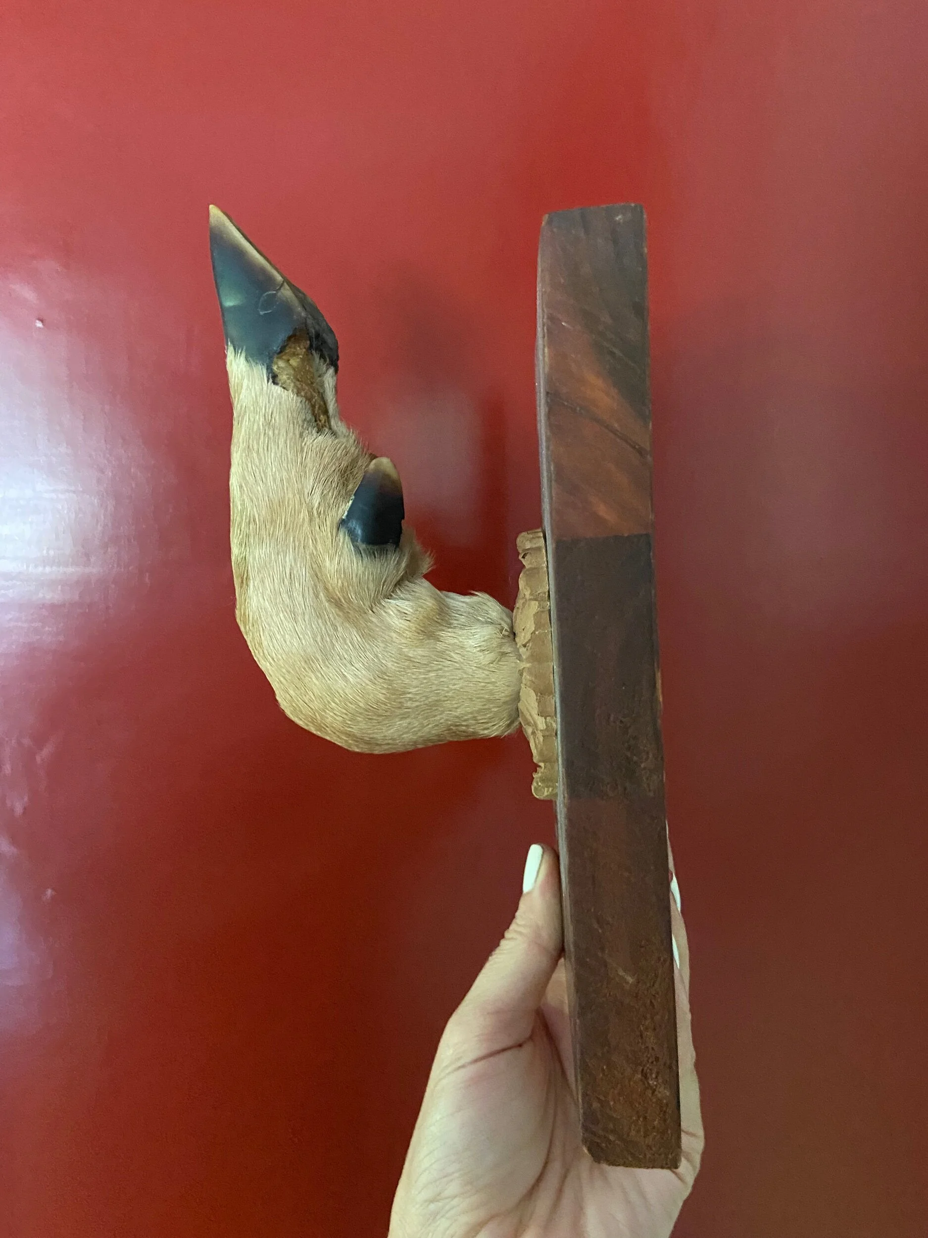 3B207AE1-78F3-43DF-A639-90C85D11924E