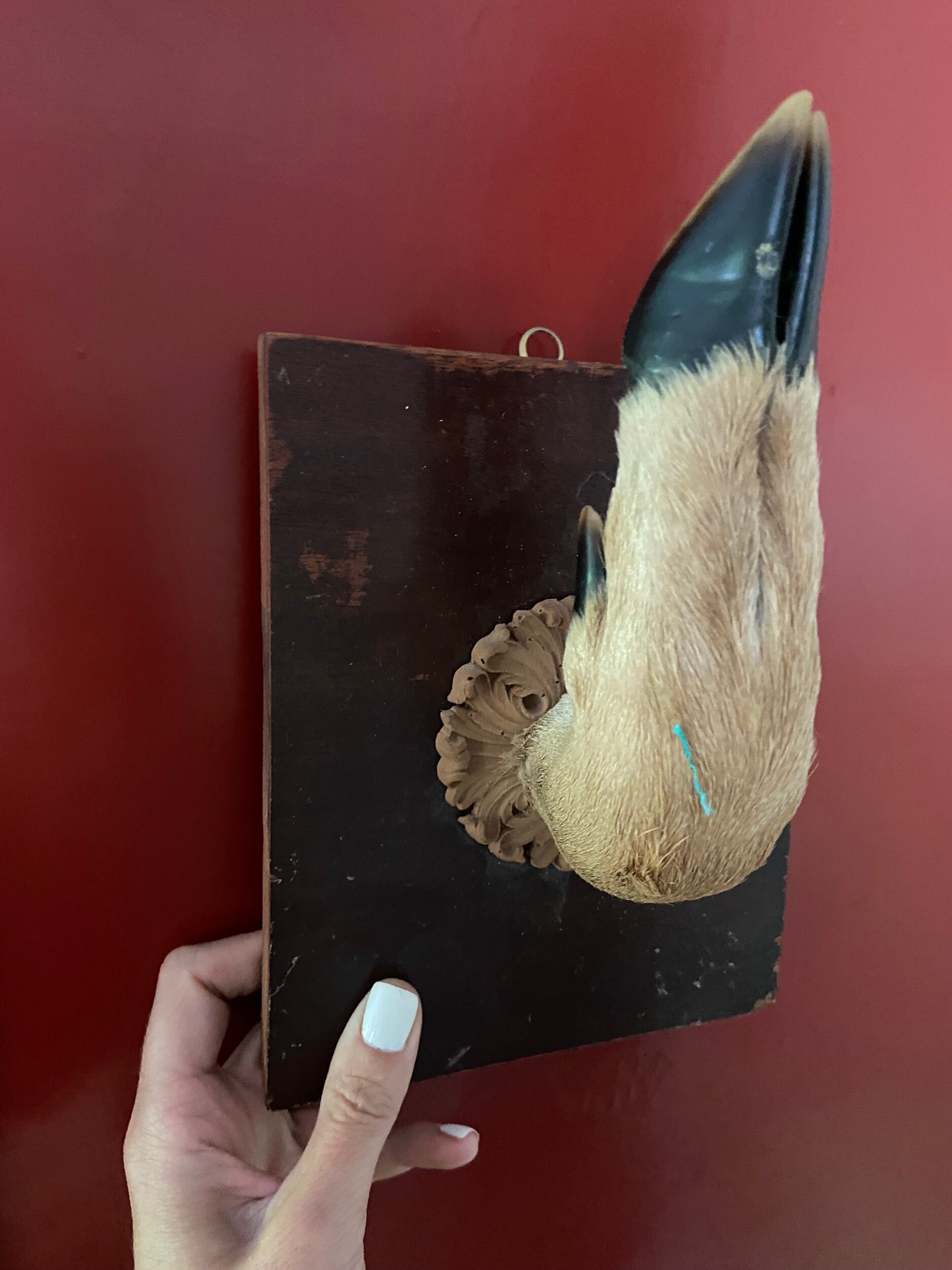 FC874433-5586-4E0A-A8CA-AF74AA7C41A4