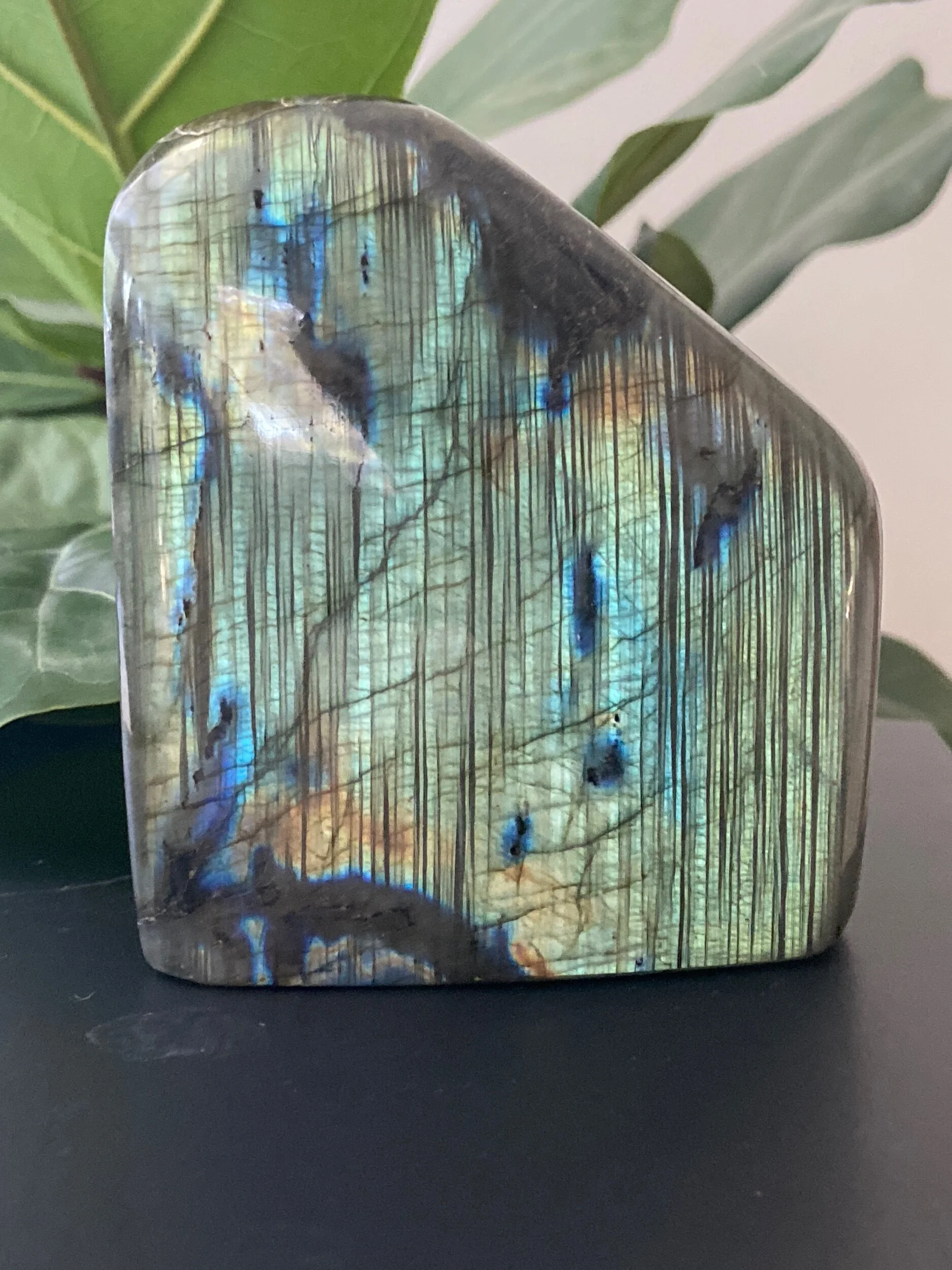 50956897-0A29-4BCA-B7E8-7E492829E3BB