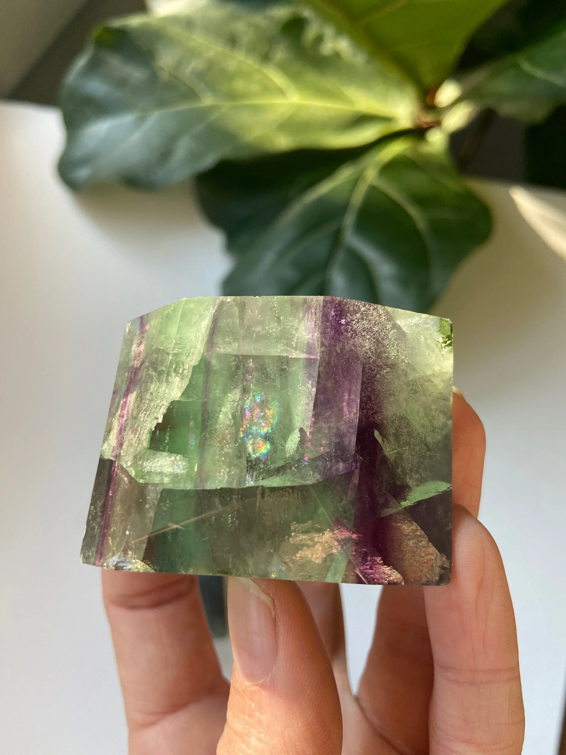 CEFBB96A-9D98-4F3A-9888-297FCEC13F77