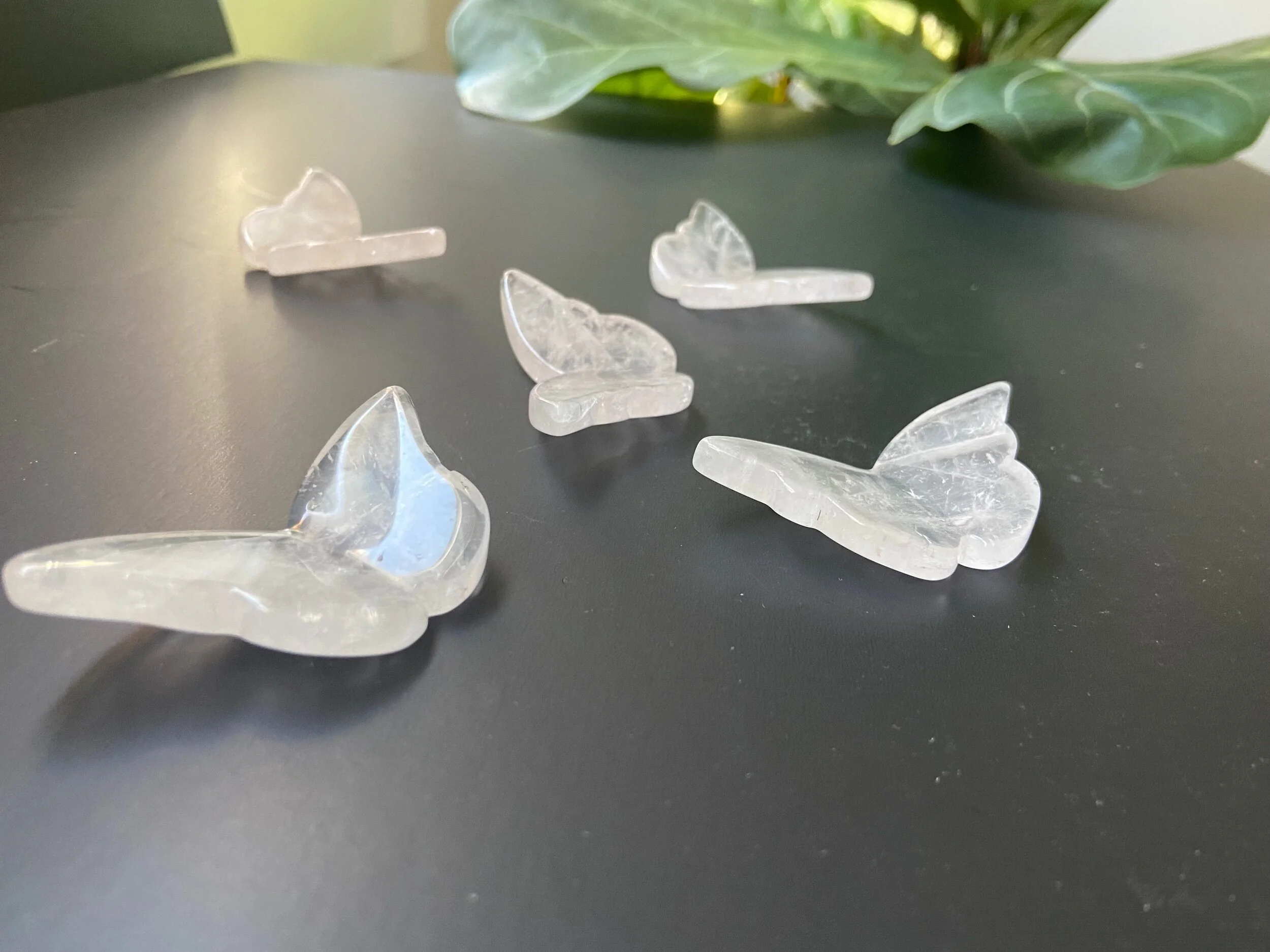 DBCAF4E8-0E3A-4F36-B7FE-DD21FEB33065