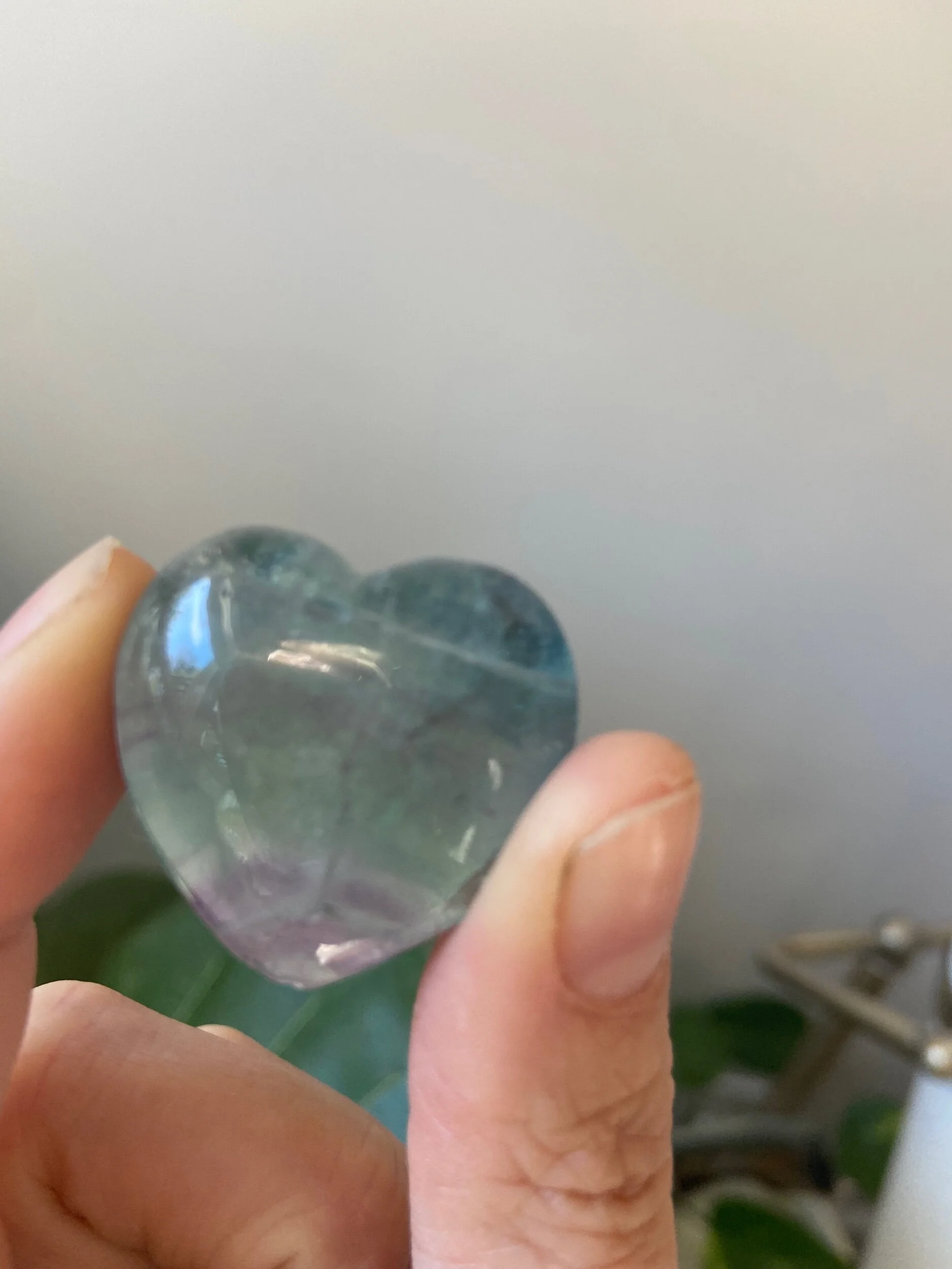 1FEE9F66-2558-45EC-9F58-5149F6746196