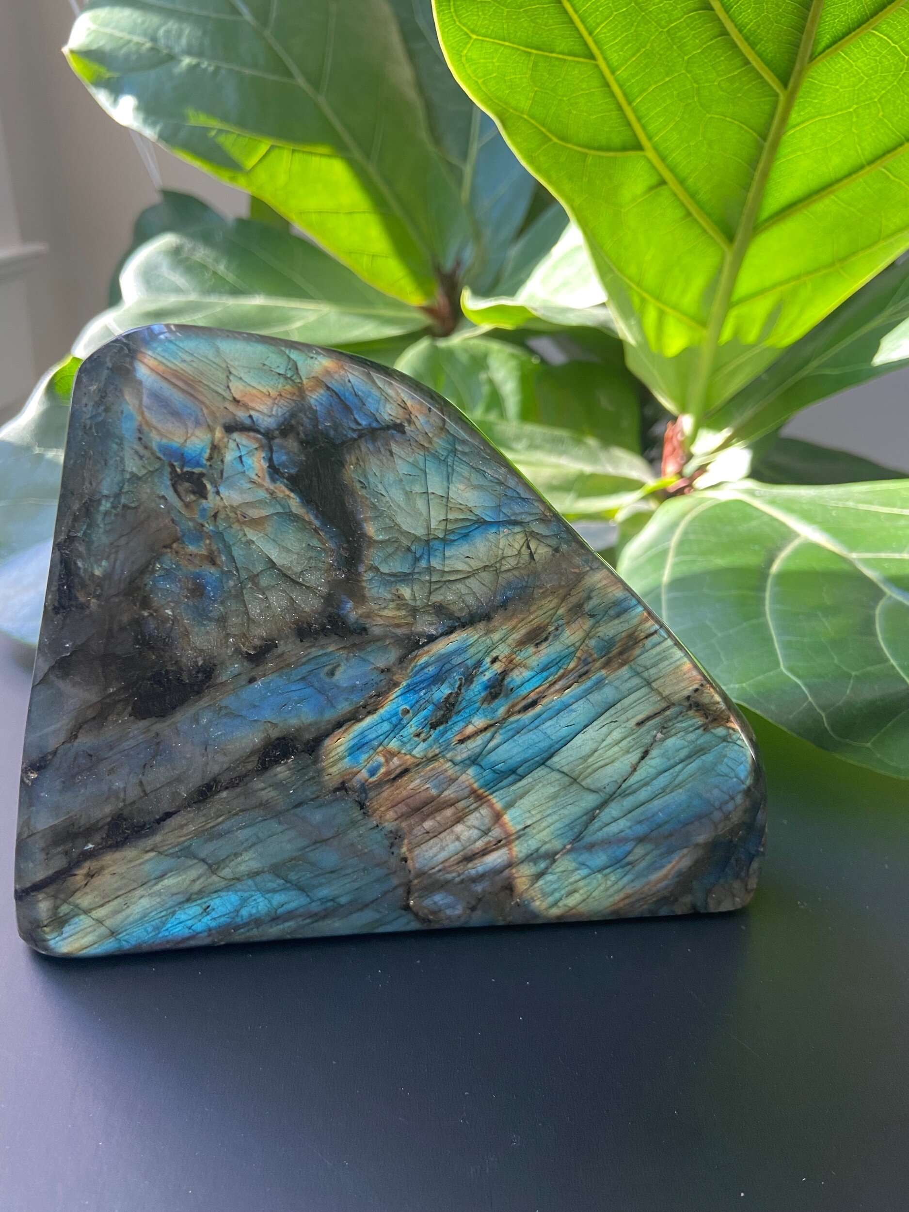 3BF456A6-895A-4AAC-84F4-66600E65C70A