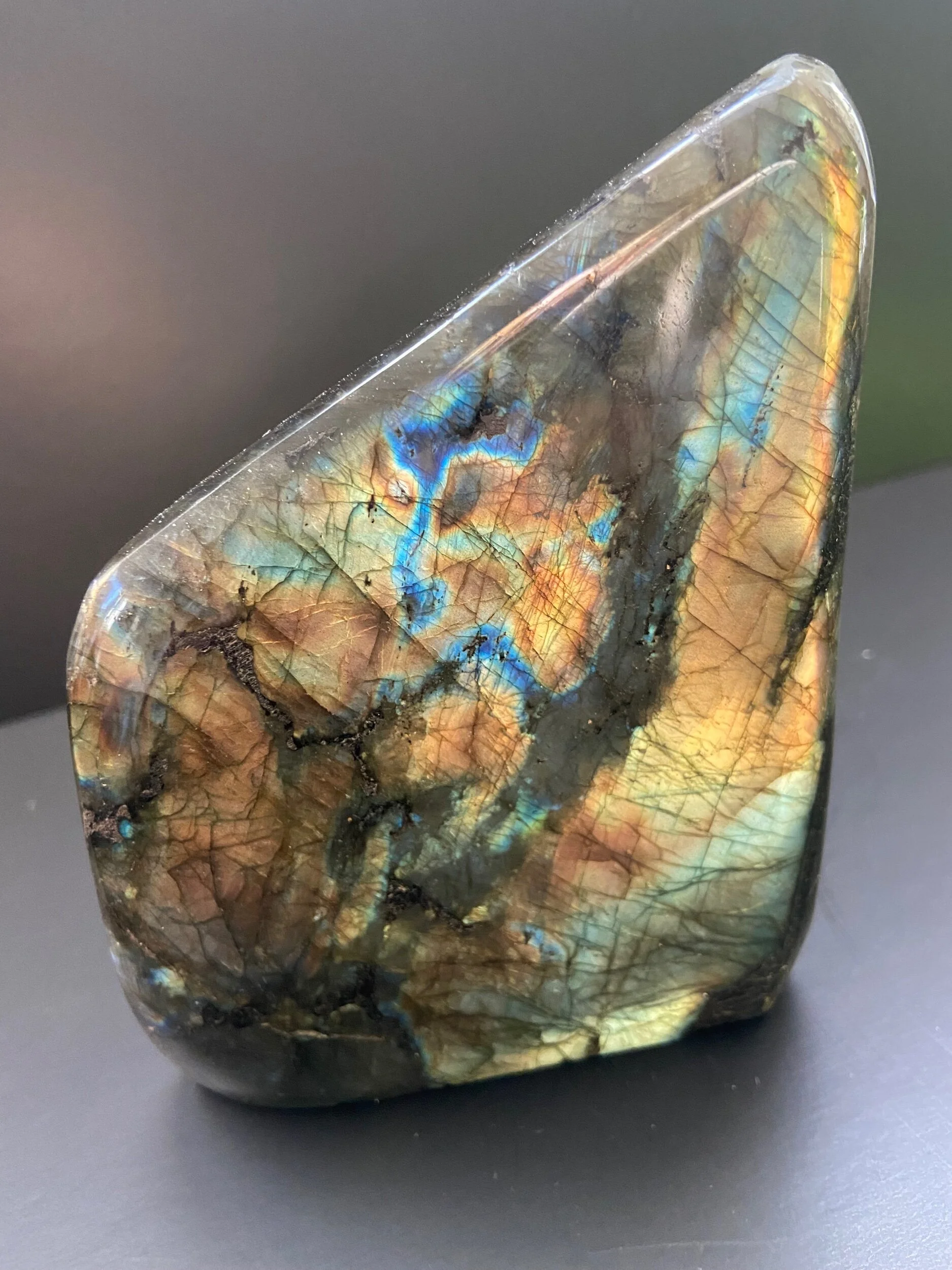 86BCB17F-6519-4229-B591-FF359ECC7819