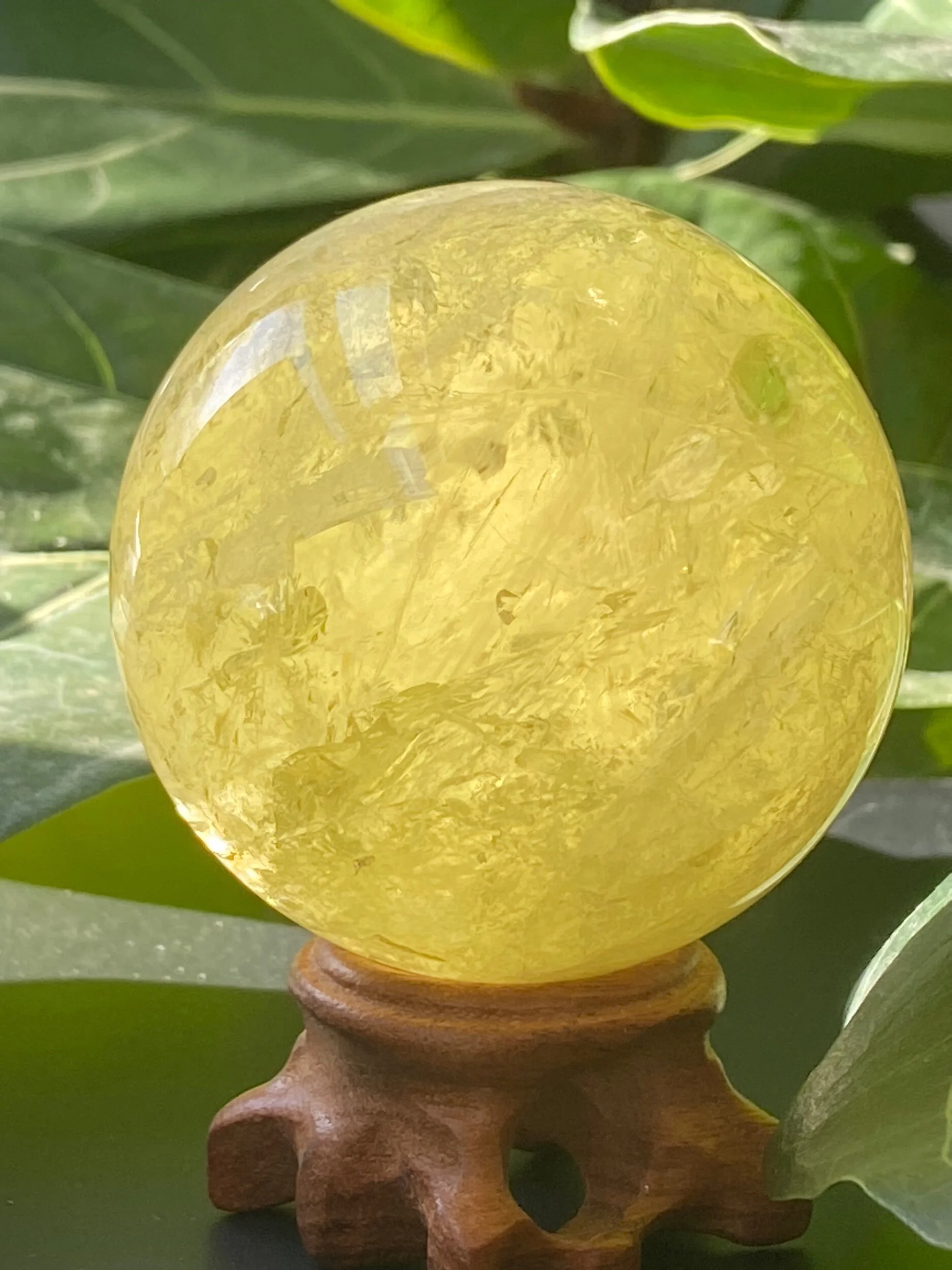 A431DB3E-34E0-40B9-8888-99F1C4CFBDF0