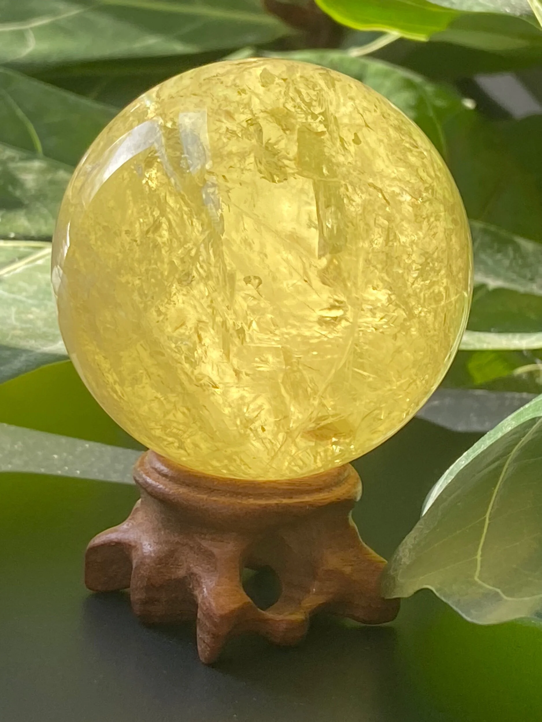 EBA6F228-5E2A-405A-8C7C-C91C9A6595C3