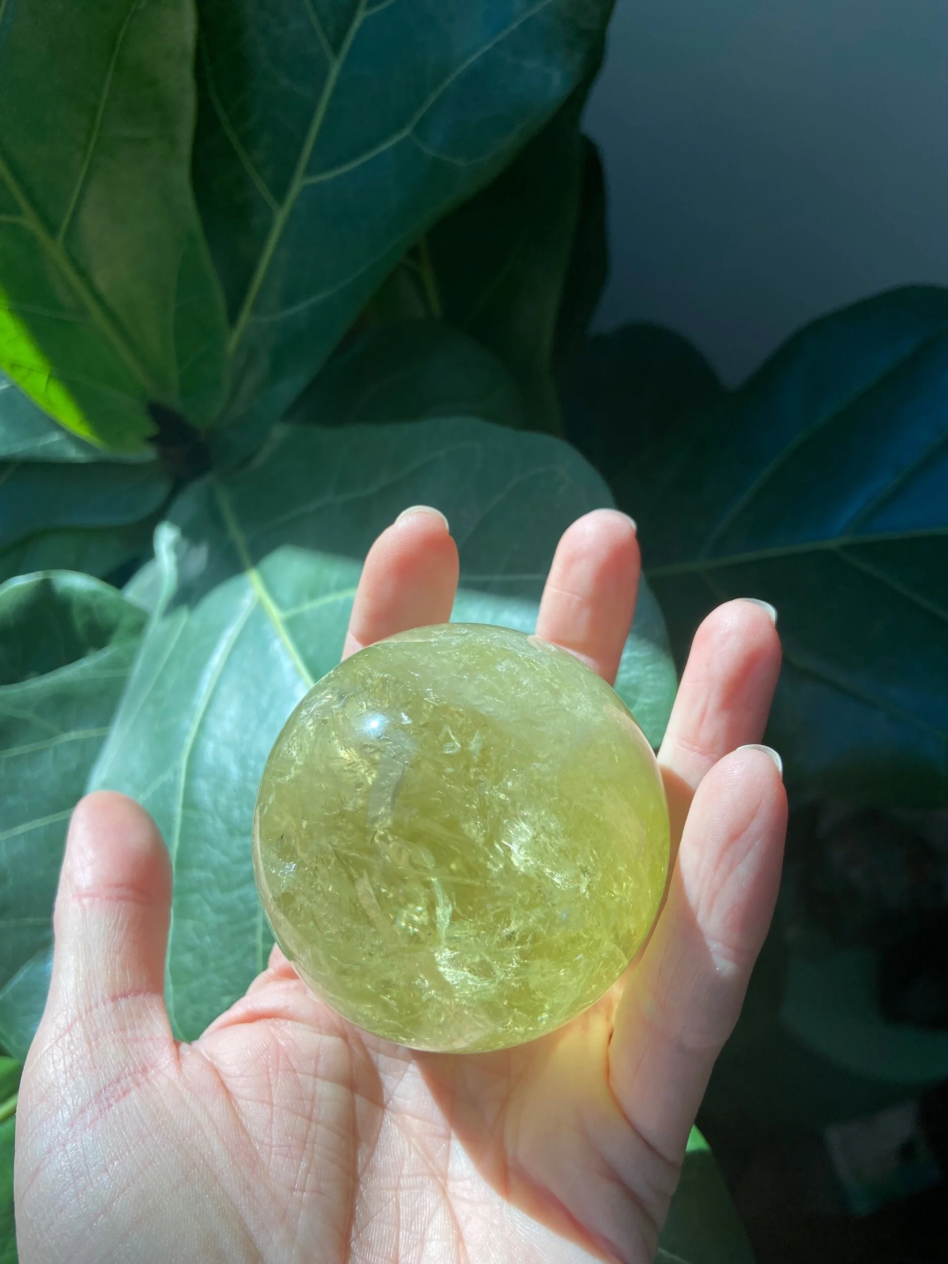 43C05C64-6050-4E0B-869D-0977EC4AC88A