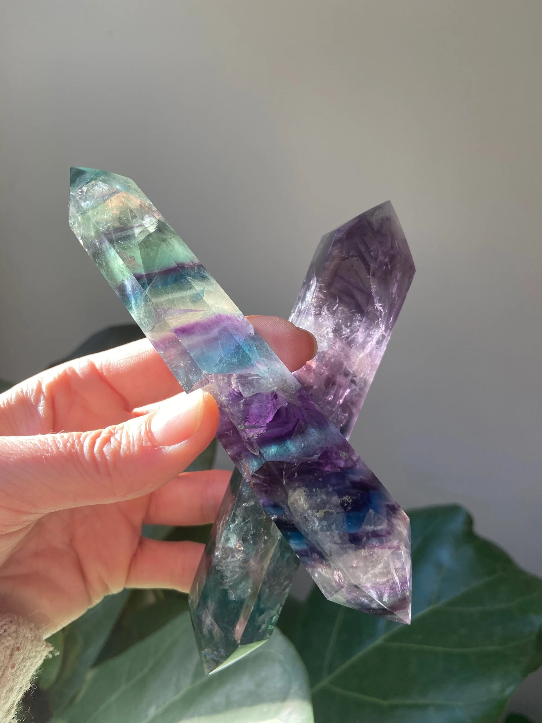 F31F9A8C-EB21-43C8-9220-476C82482E9D