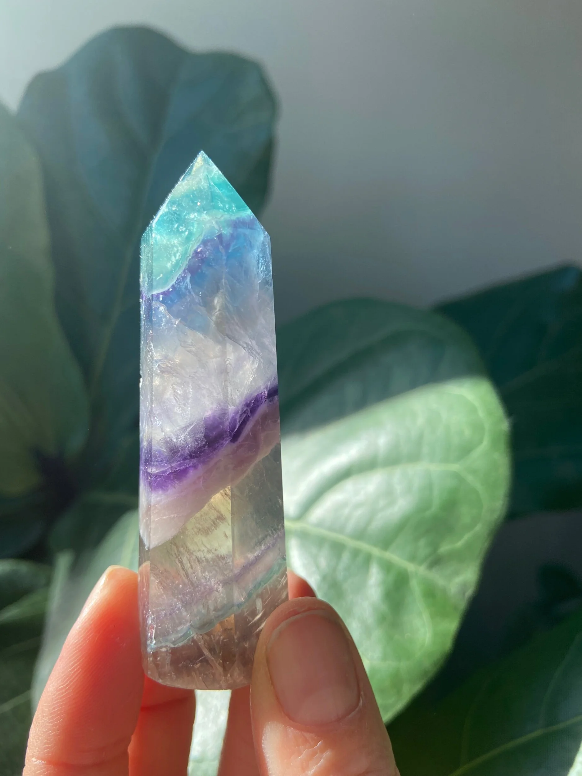 AC2A403F-31C2-4B60-91BF-09897E2F2EBC