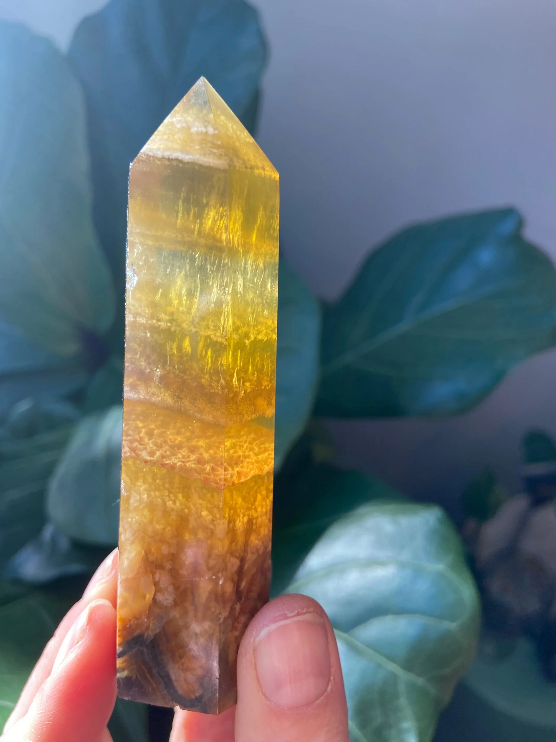 A929FD75-60CB-4501-BCBB-3F3FE84995DE