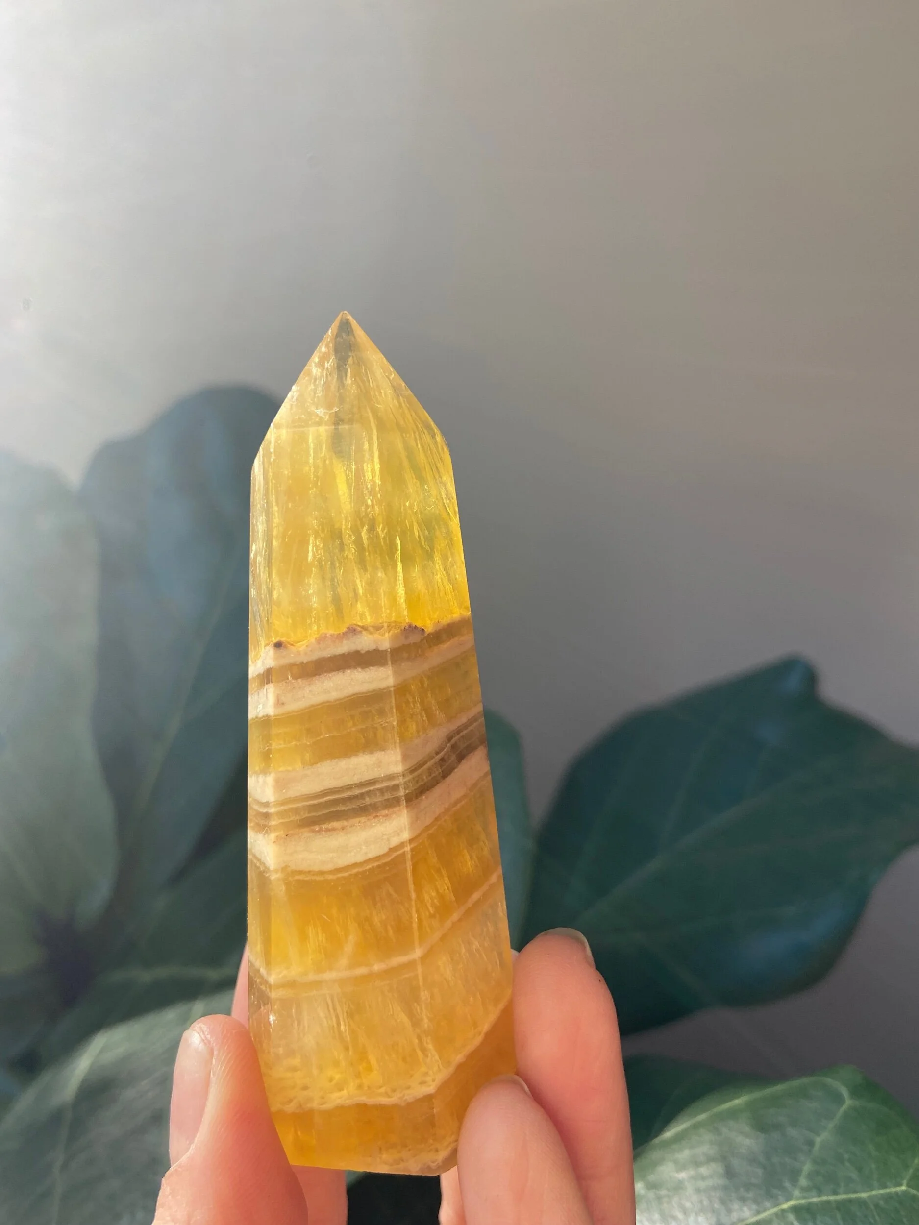 5A122BE4-C780-42FC-96C4-0076FBFF270E