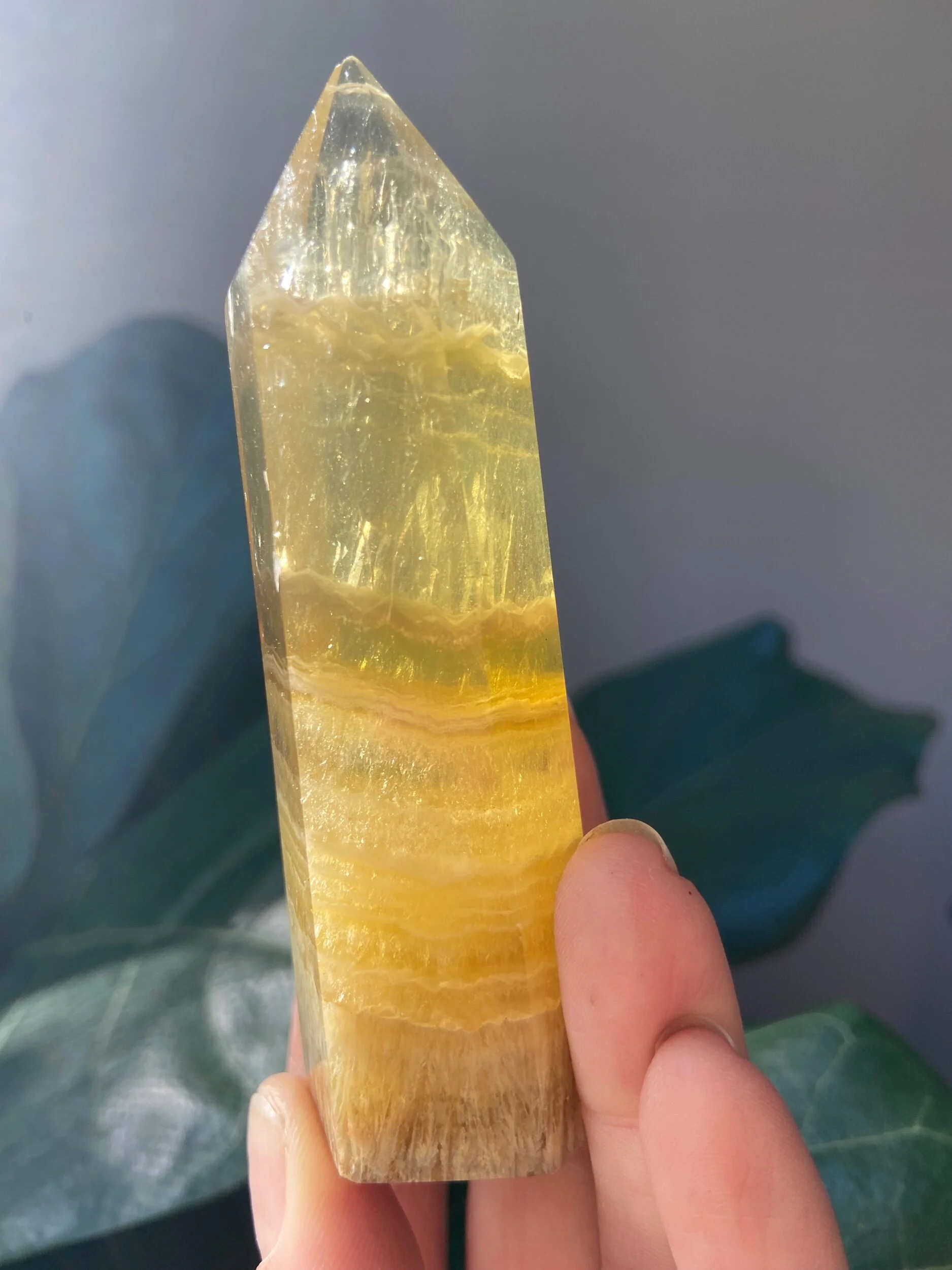 EE1F73E8-2DA5-442C-AABB-3FE0F2F67C3B