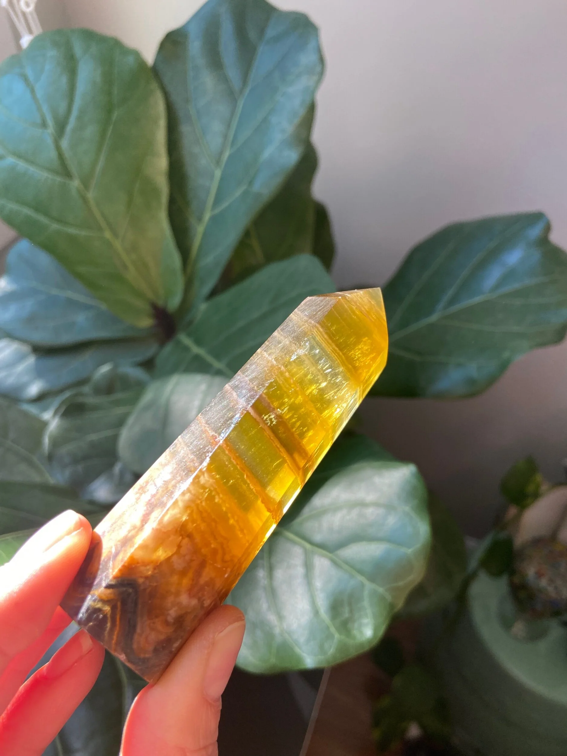 C38DDFFC-0573-4C29-B72C-E3F3D4CD9F2E