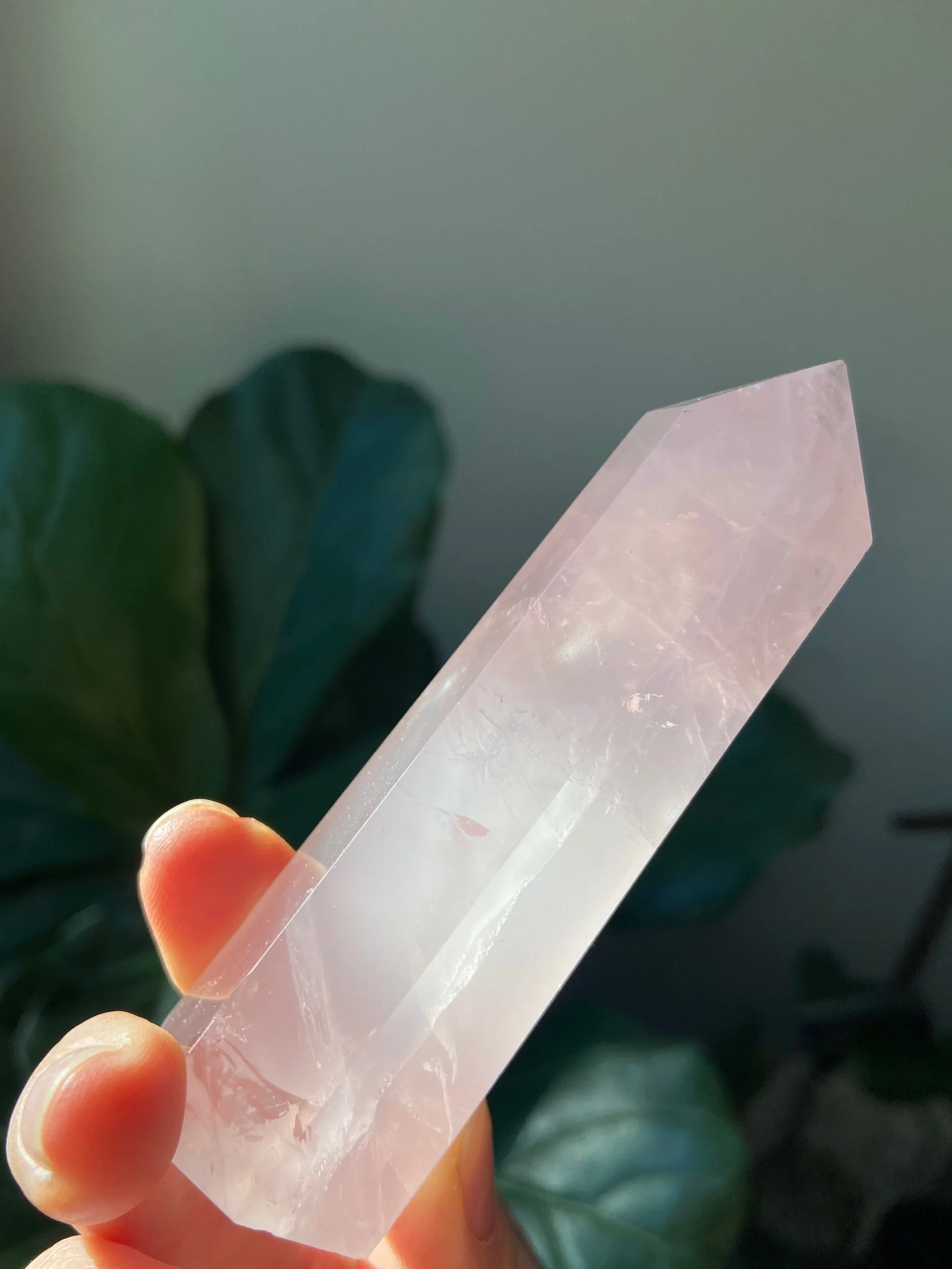 FD663B10-4C5D-45E8-BE2E-FE5D005AD6DA