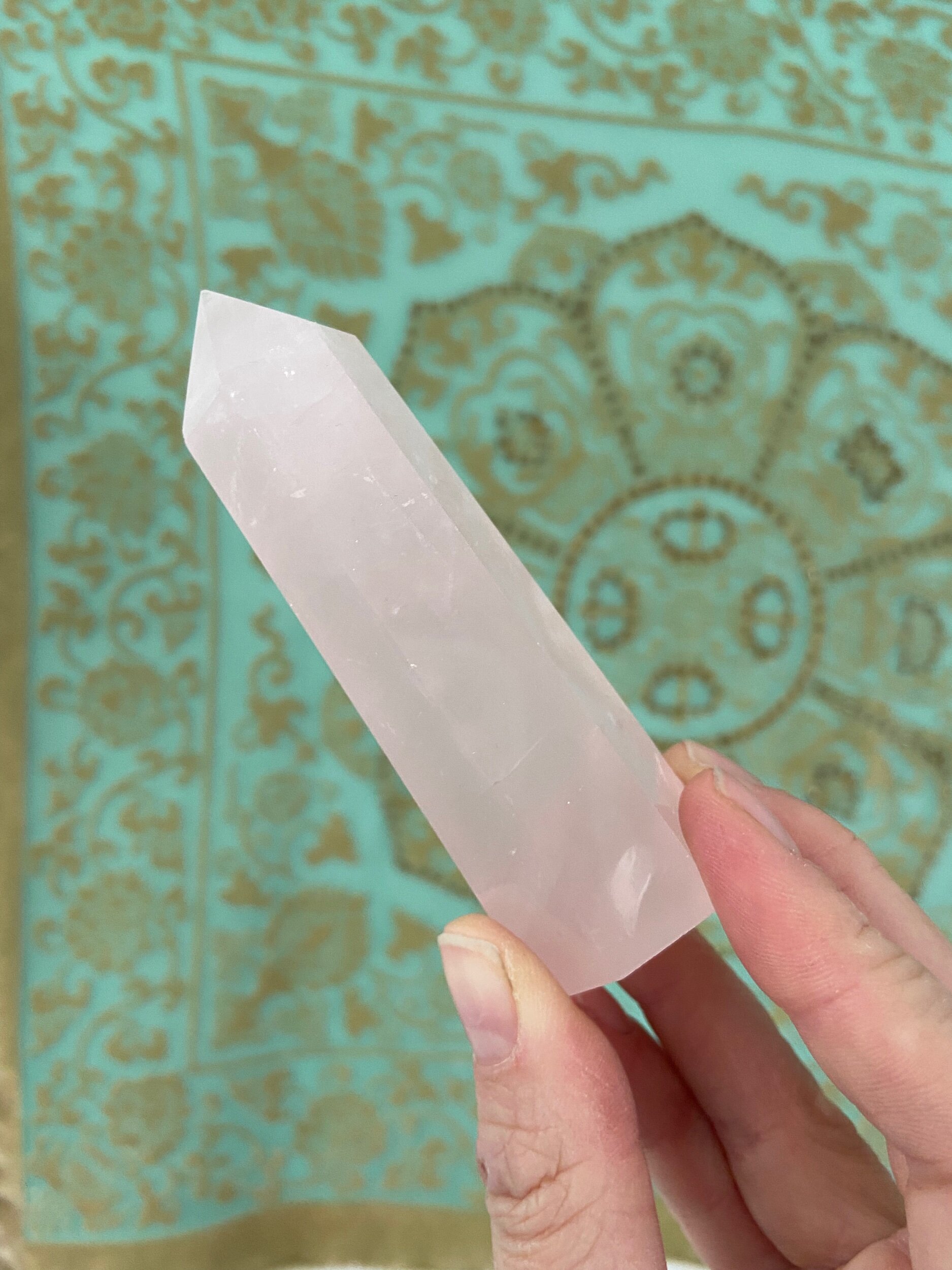 BBC03144-8FEA-401F-BBA5-E0CFB159934D