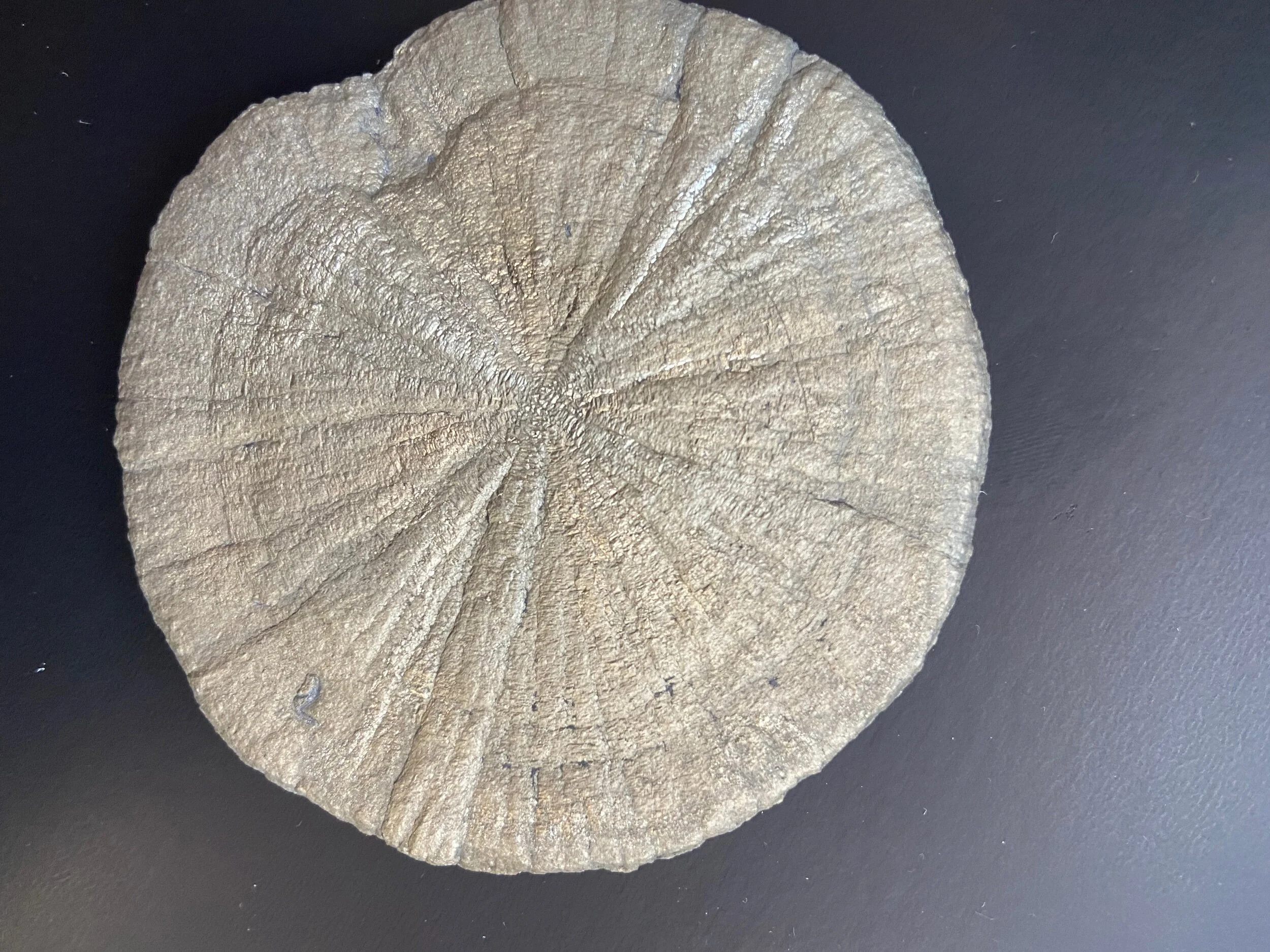 B509FC94-9BC7-48DC-88DC-F909677D2B12