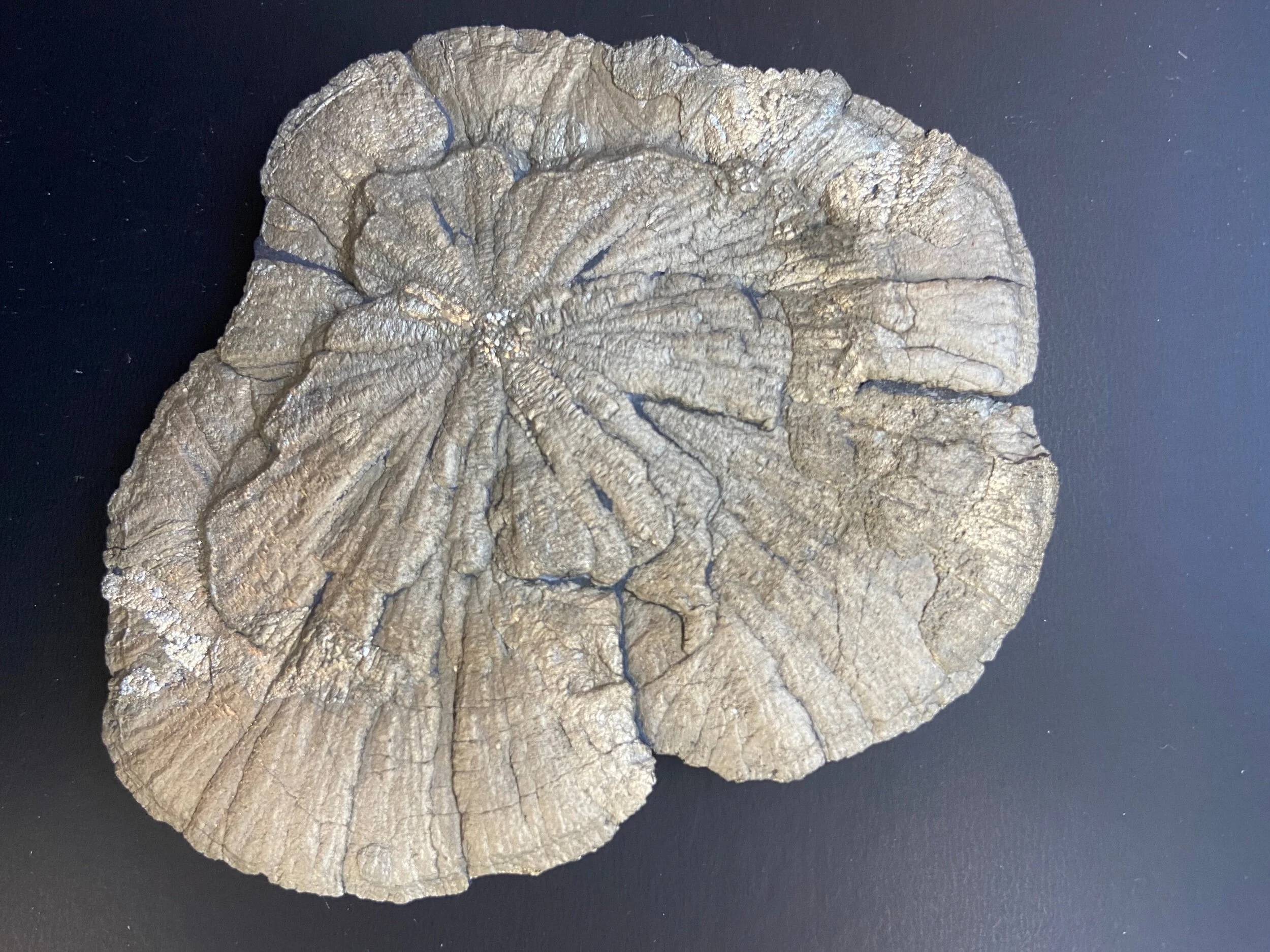 C8C25CFF-8D3F-4D58-BFA3-129368C620E0