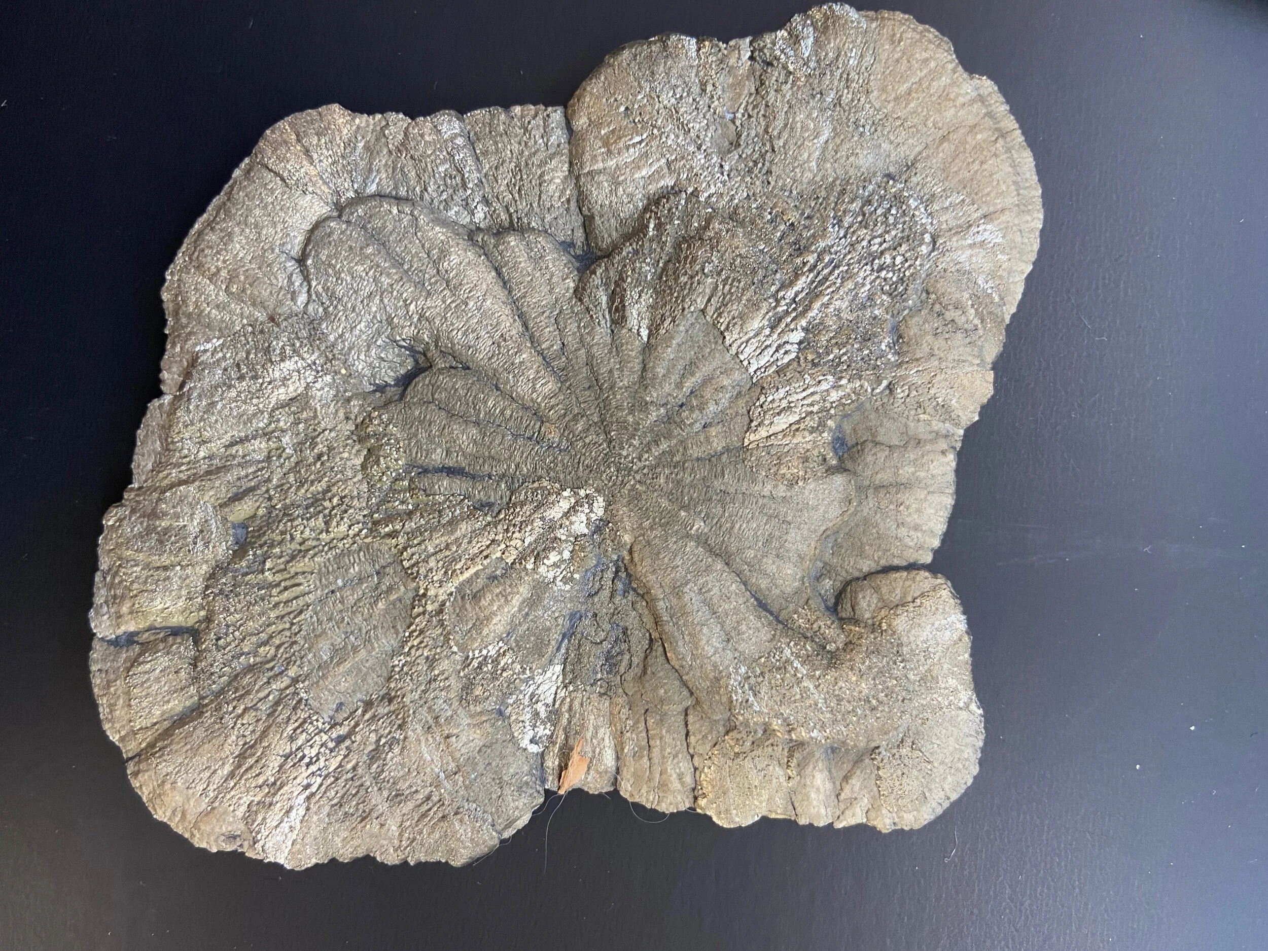 2337327C-50E6-4EEE-82CD-05DD3128E298