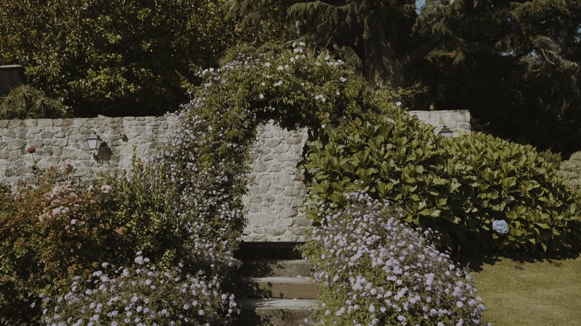 Secuencia 01.00_01_46_19.Imagen fija134.jpg