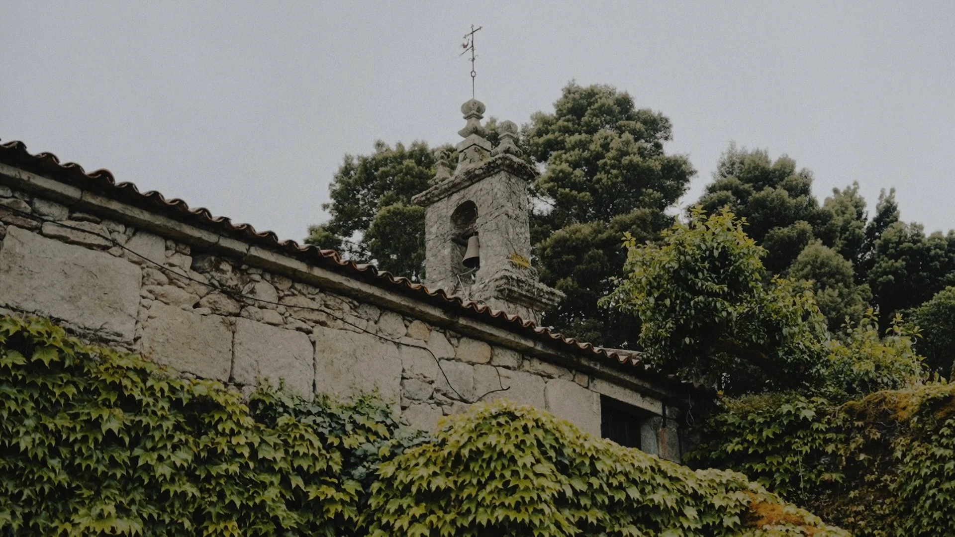 Secuencia 01.00_01_08_12.Imagen fija076.jpg