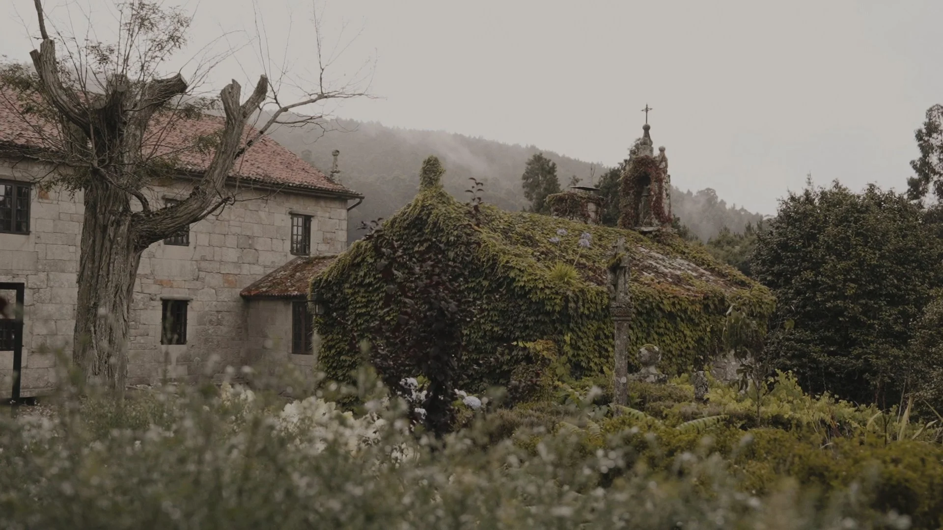 Secuencia 01.00_01_38_17.Imagen fija123.jpg