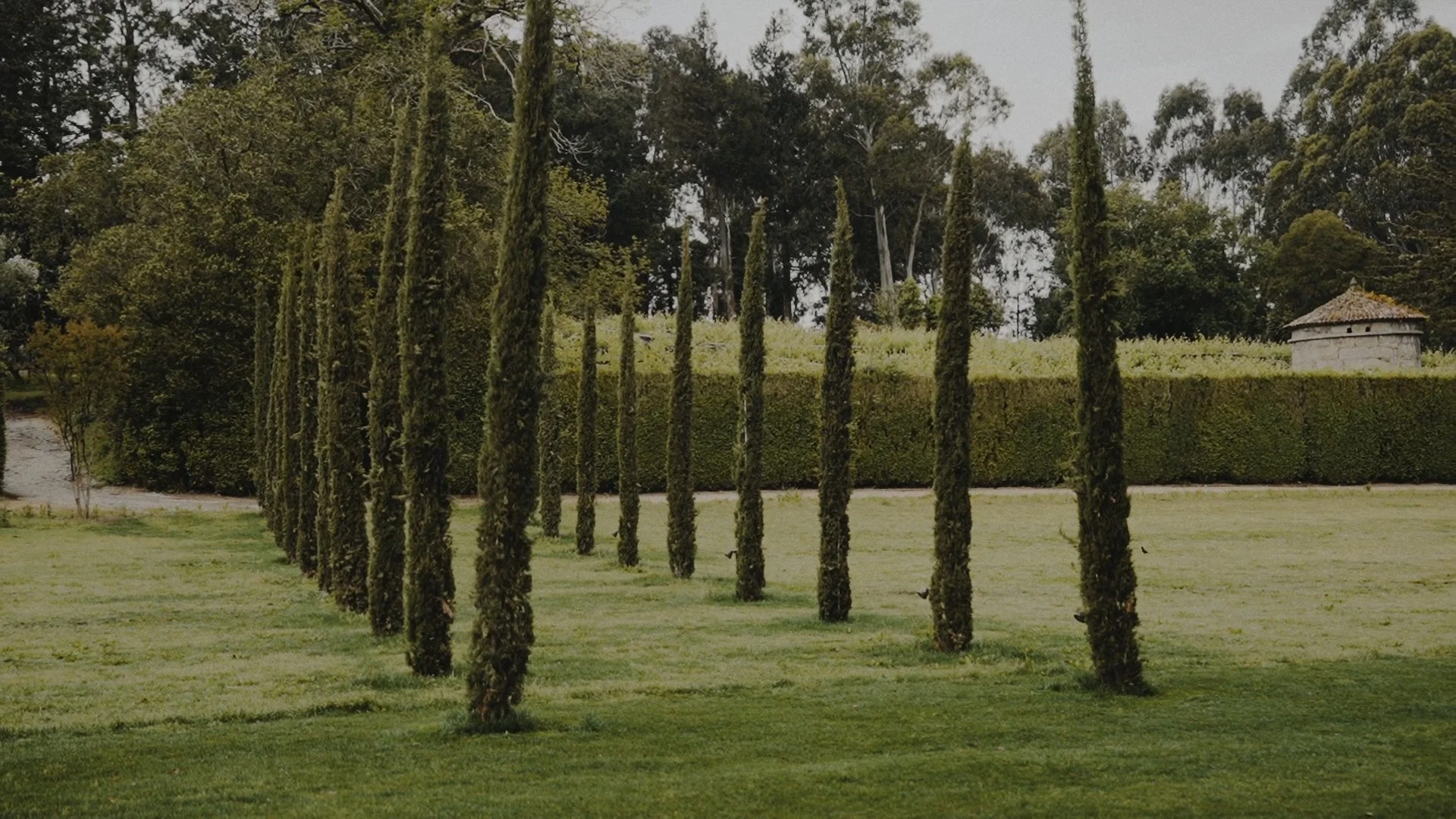 Secuencia 01.00_01_10_10.Imagen fija077.jpg