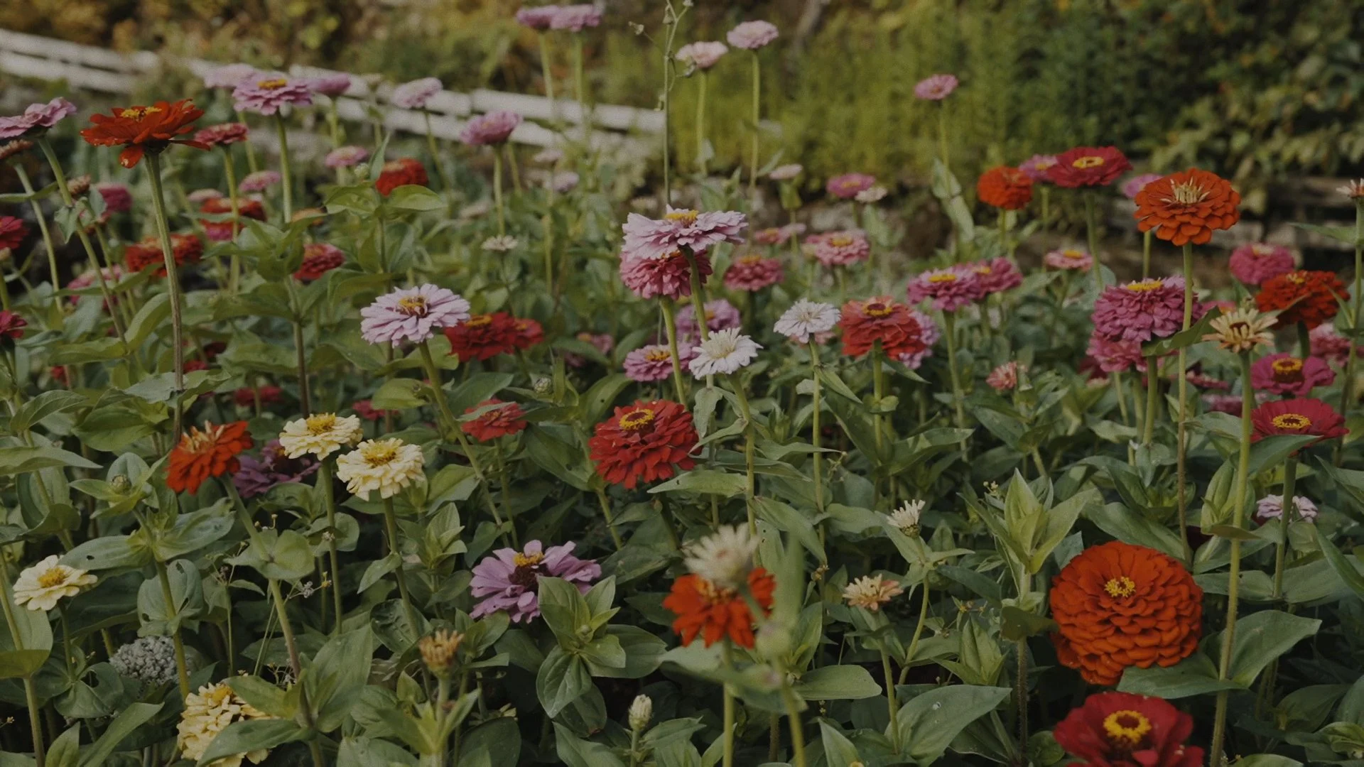 Secuencia 01.00_01_46_12.Imagen fija153.jpg