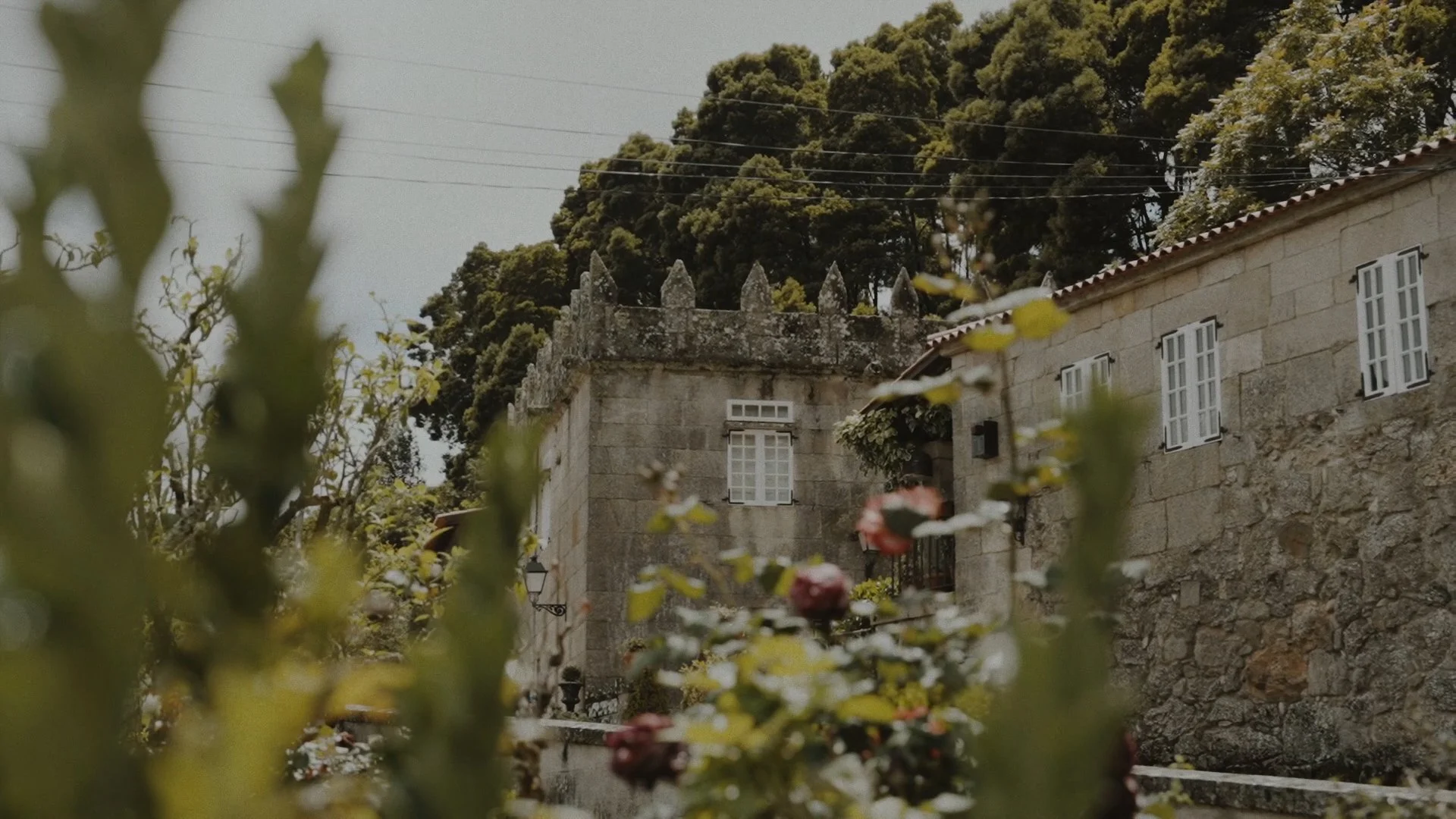 Secuencia 01.00_01_49_12.Imagen fija135.jpg