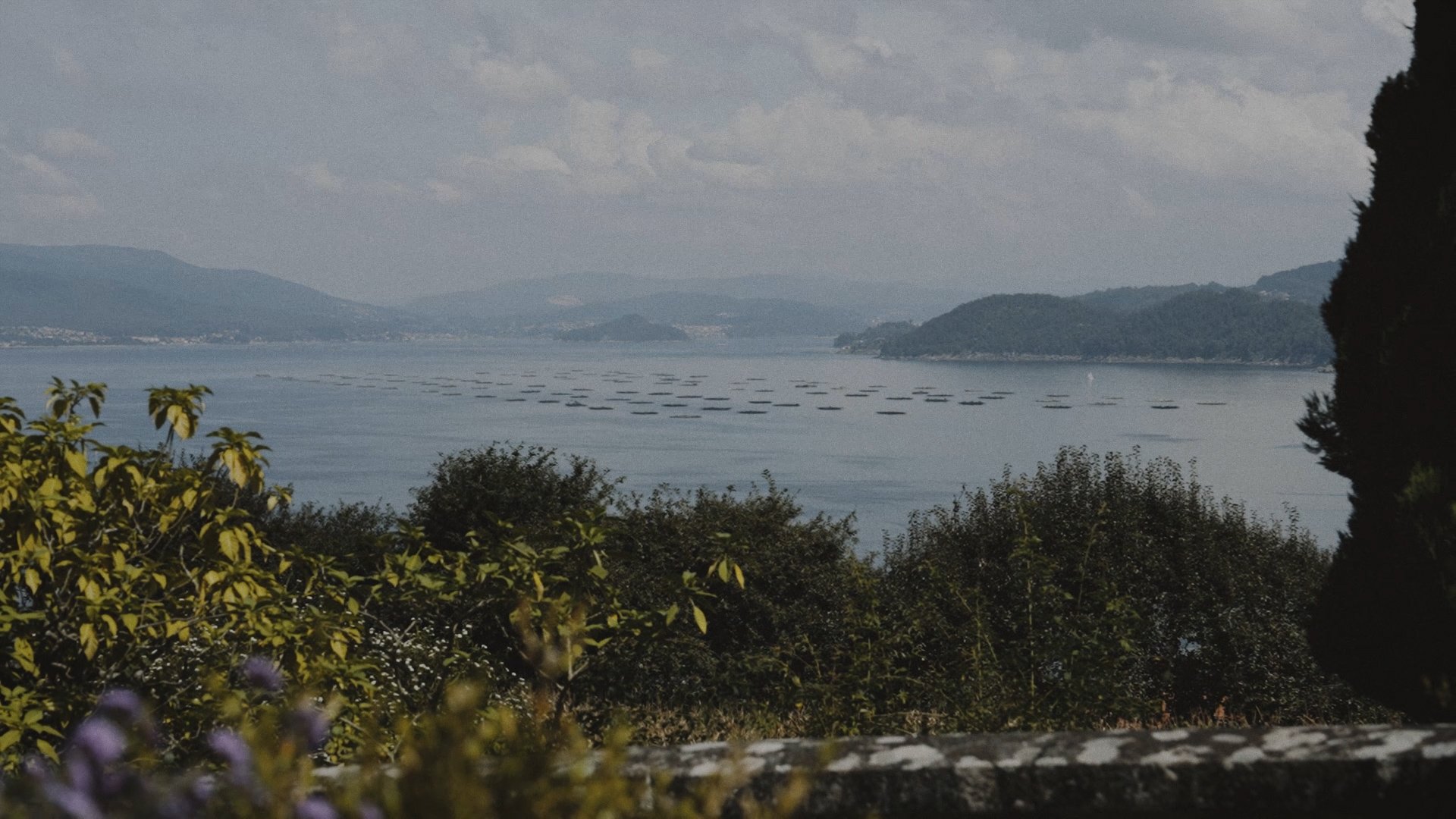 Secuencia 01.00_01_39_03.Imagen fija174.jpg