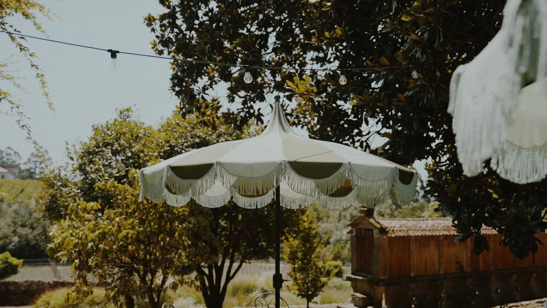 Secuencia 01.00_03_10_05.Imagen fija235.jpg