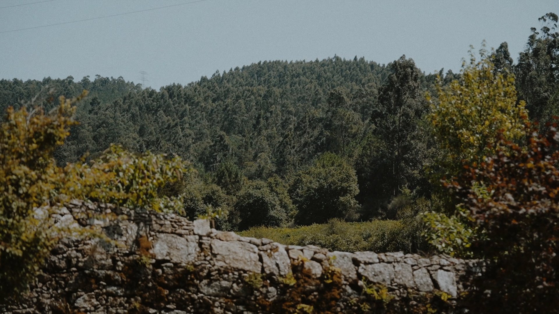 Secuencia 01.00_03_09_05.Imagen fija234.jpg