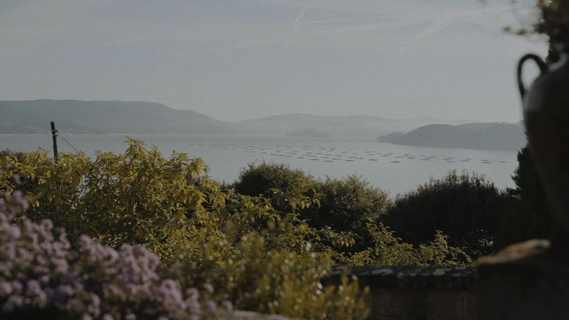 Secuencia 01.00_01_45_19.Imagen fija152.jpg