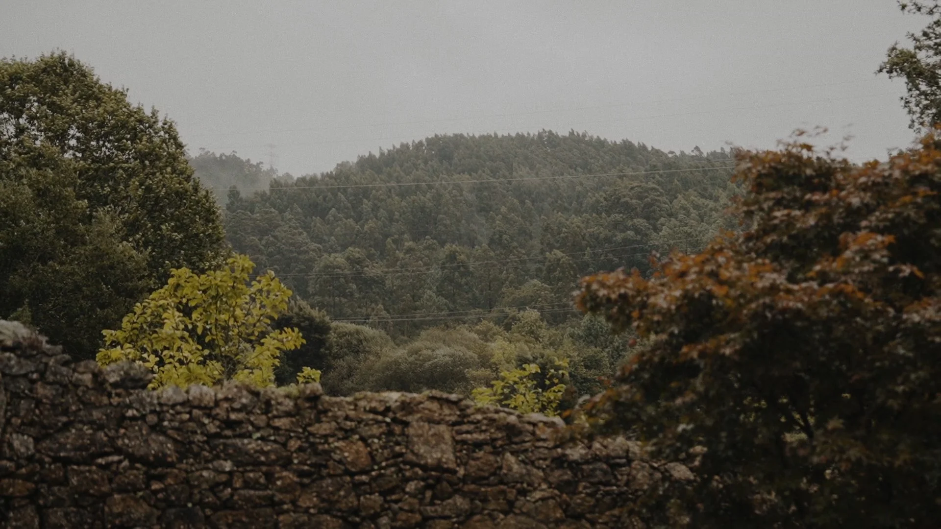 Secuencia 01.00_00_31_05.Imagen fija024.jpg