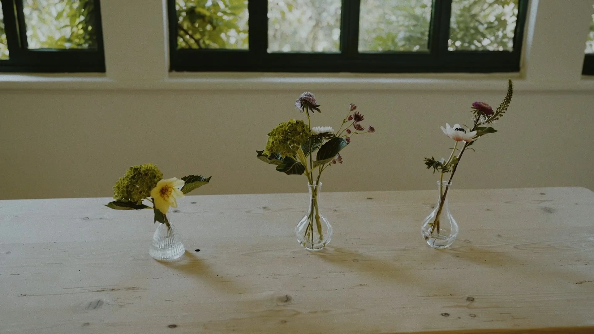 Secuencia 01.00_03_18_20.Imagen fija237.jpg