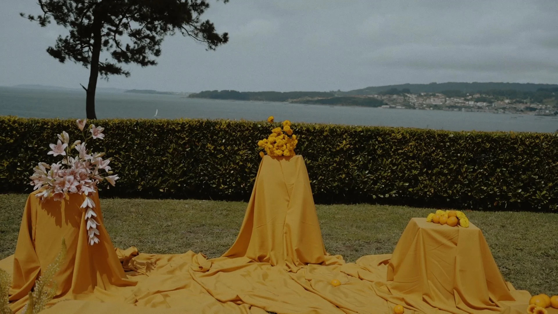 Secuencia 01.00_01_15_14.Imagen fija015.jpg