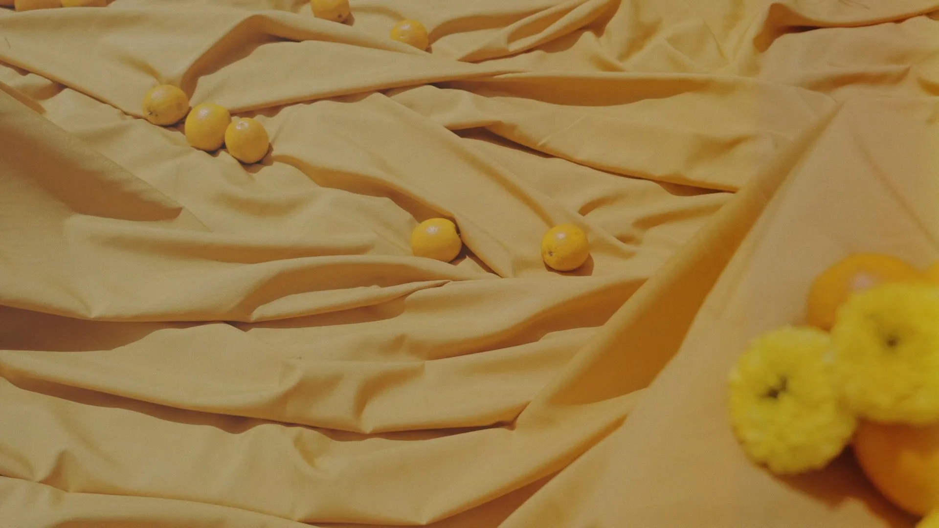 Secuencia 01.00_00_35_09.Imagen fija002.jpg