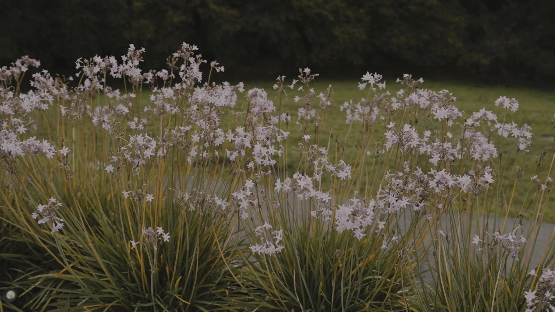 Secuencia 01.00_01_29_08.Imagen fija119.jpg