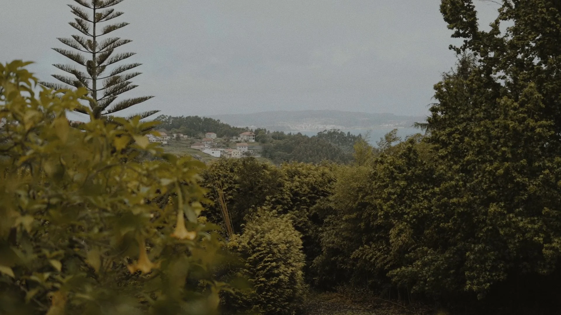 Secuencia 01.00_02_15_04.Imagen fija143.jpg