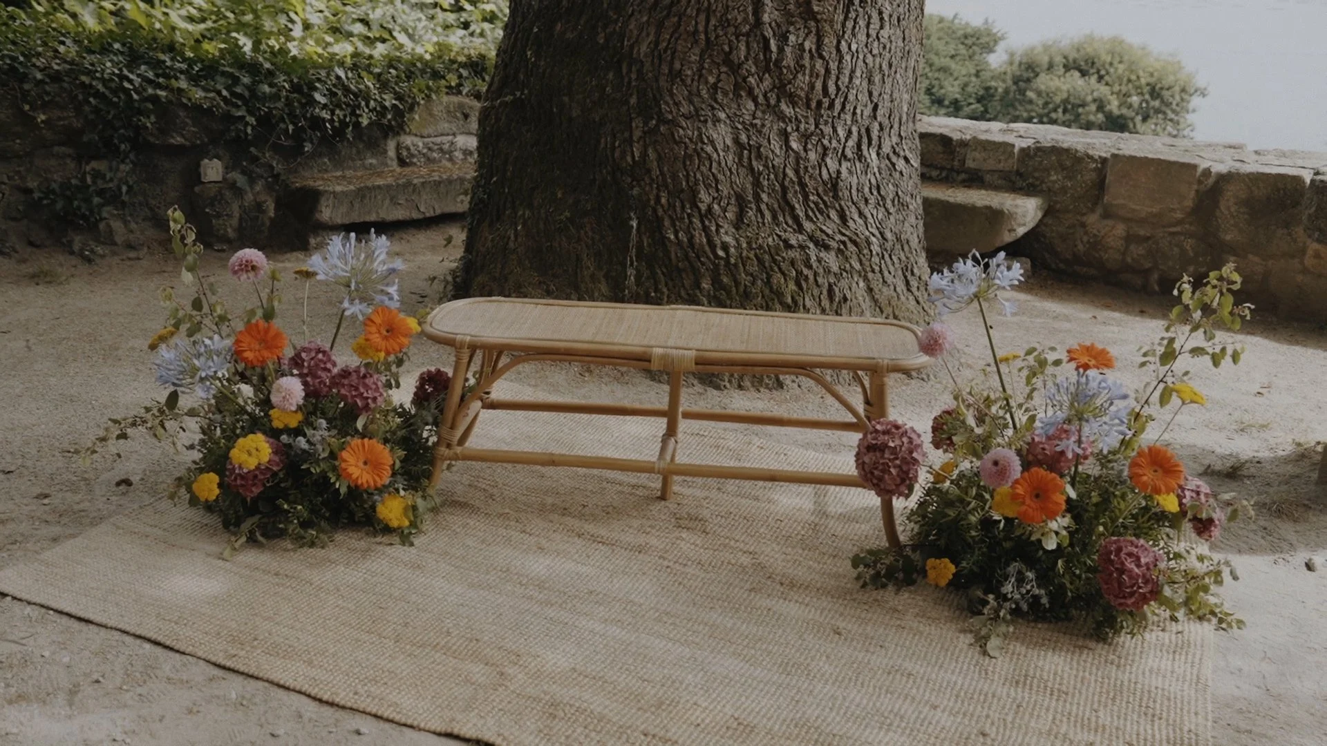 Secuencia 01.00_02_02_14.Imagen fija157.jpg