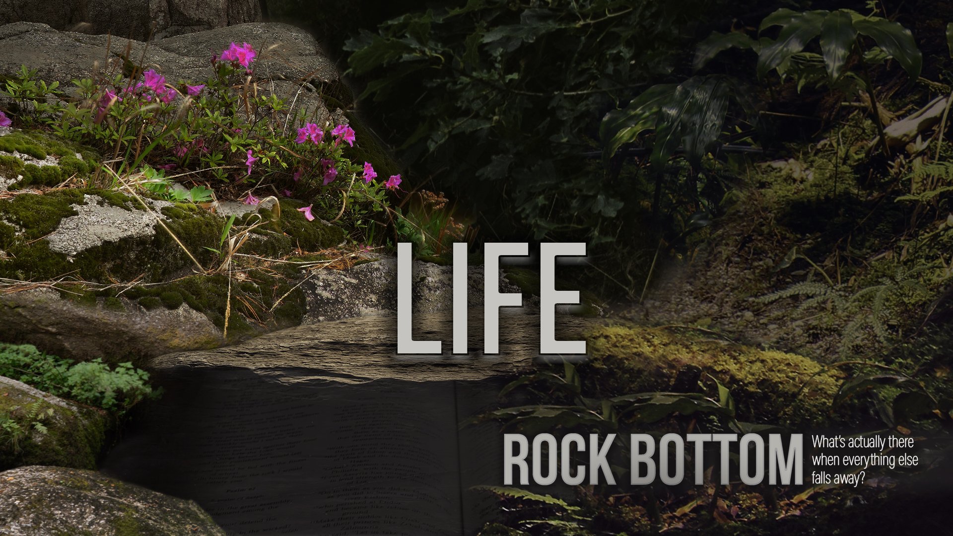 Rock Bottom: Life