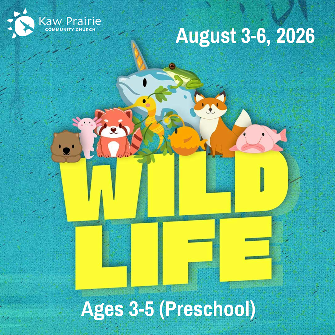  VBS for Pre-Schoolers 
 Aug. 3-6 (M-Th) | 9:30-11:30am 