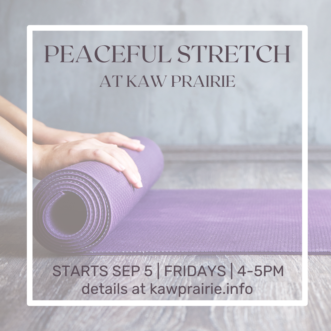 Peaceful Stretch 
 Fridays | 4-5pm