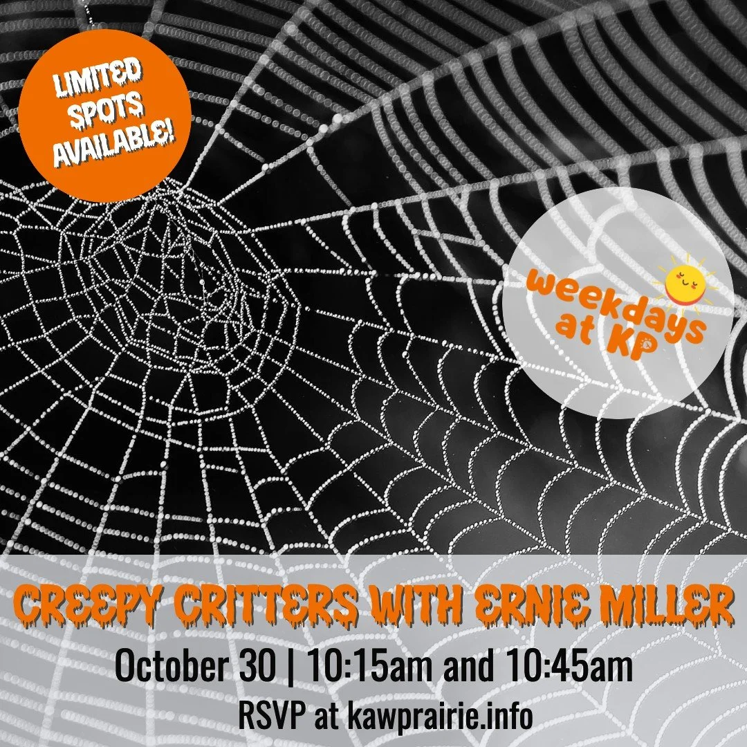 Creepy Critters event 
 Oct 30 (Thu) | 10am-12pm