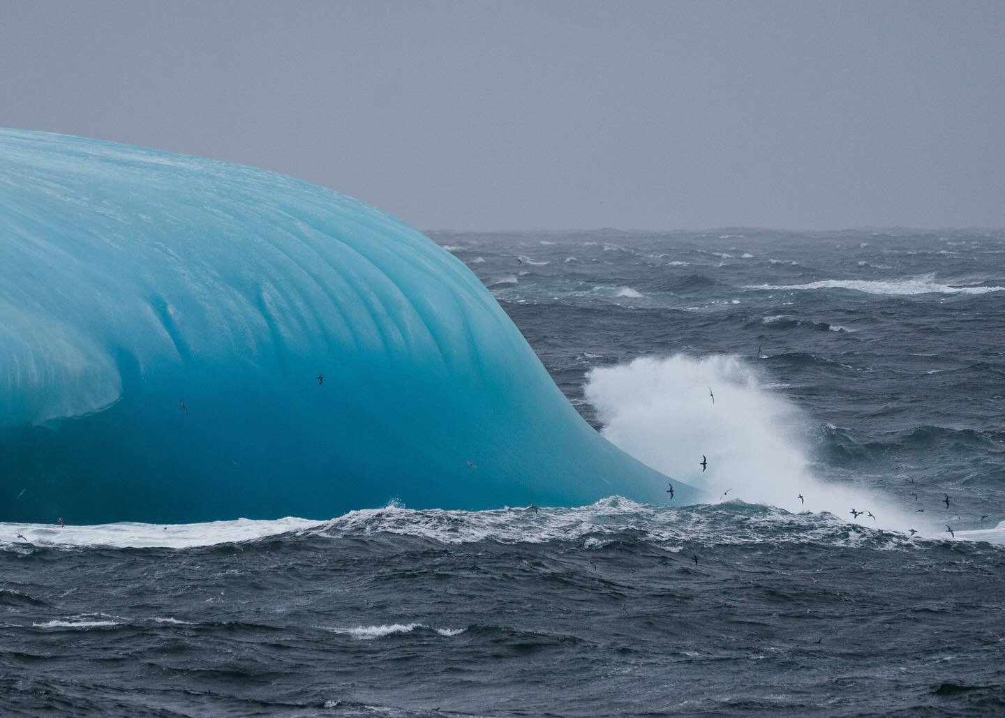 An iceberg against the turbulent waters surrounding South Georgia in the South Atlantic Ocean. These waters are known for their extreme weather conditions yet life continues to thrive in these waters.