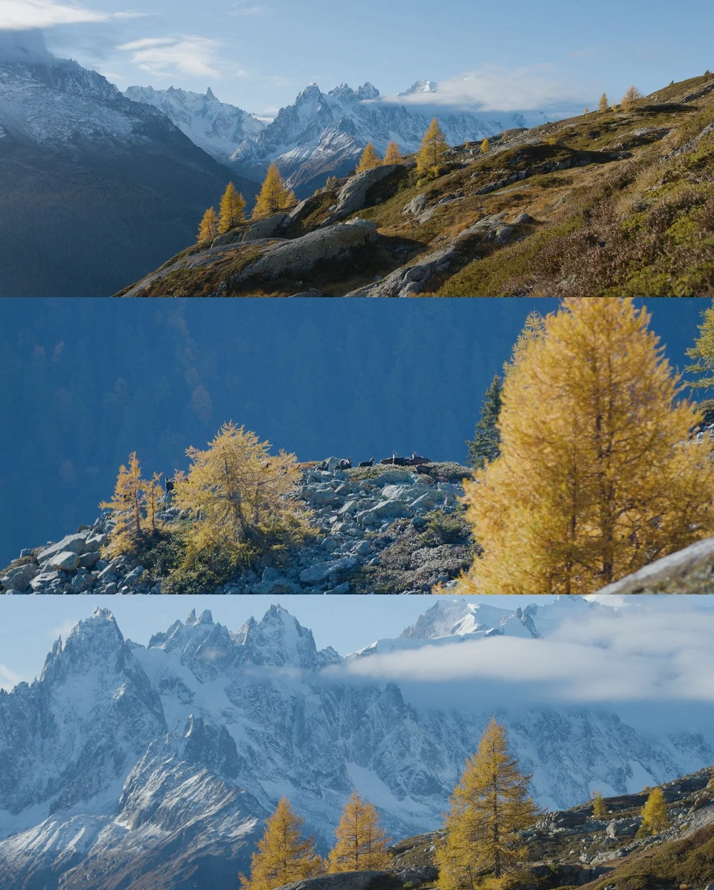 It&rsquo;s that time of the year in the Alps where the valleys start to change colour. The larch needles turn yellow one by one into their golden colour. It&rsquo;s by far my favourite season in the Alps, with the last warm summer days, cool evening 