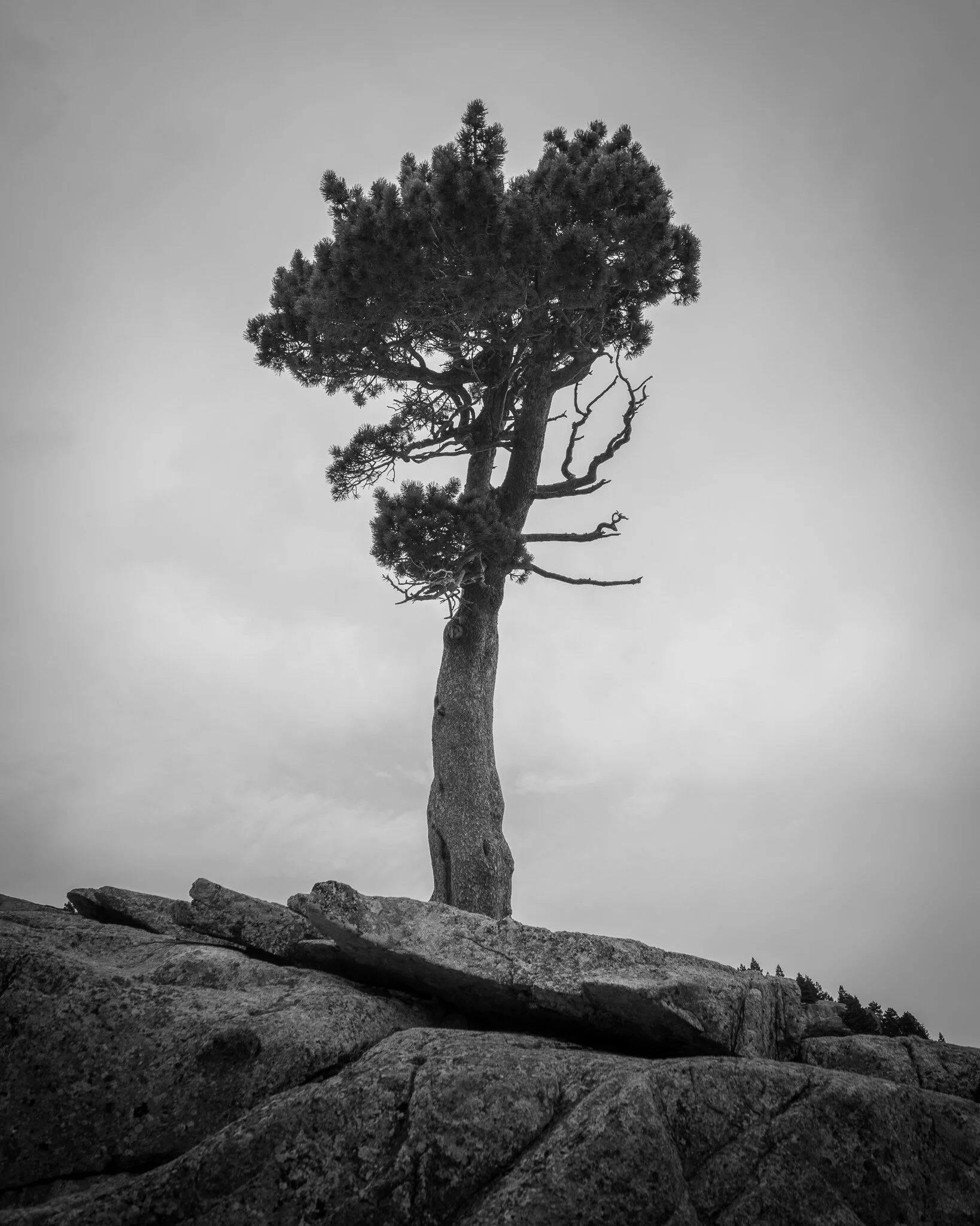 Spanish Mountains-24.jpg